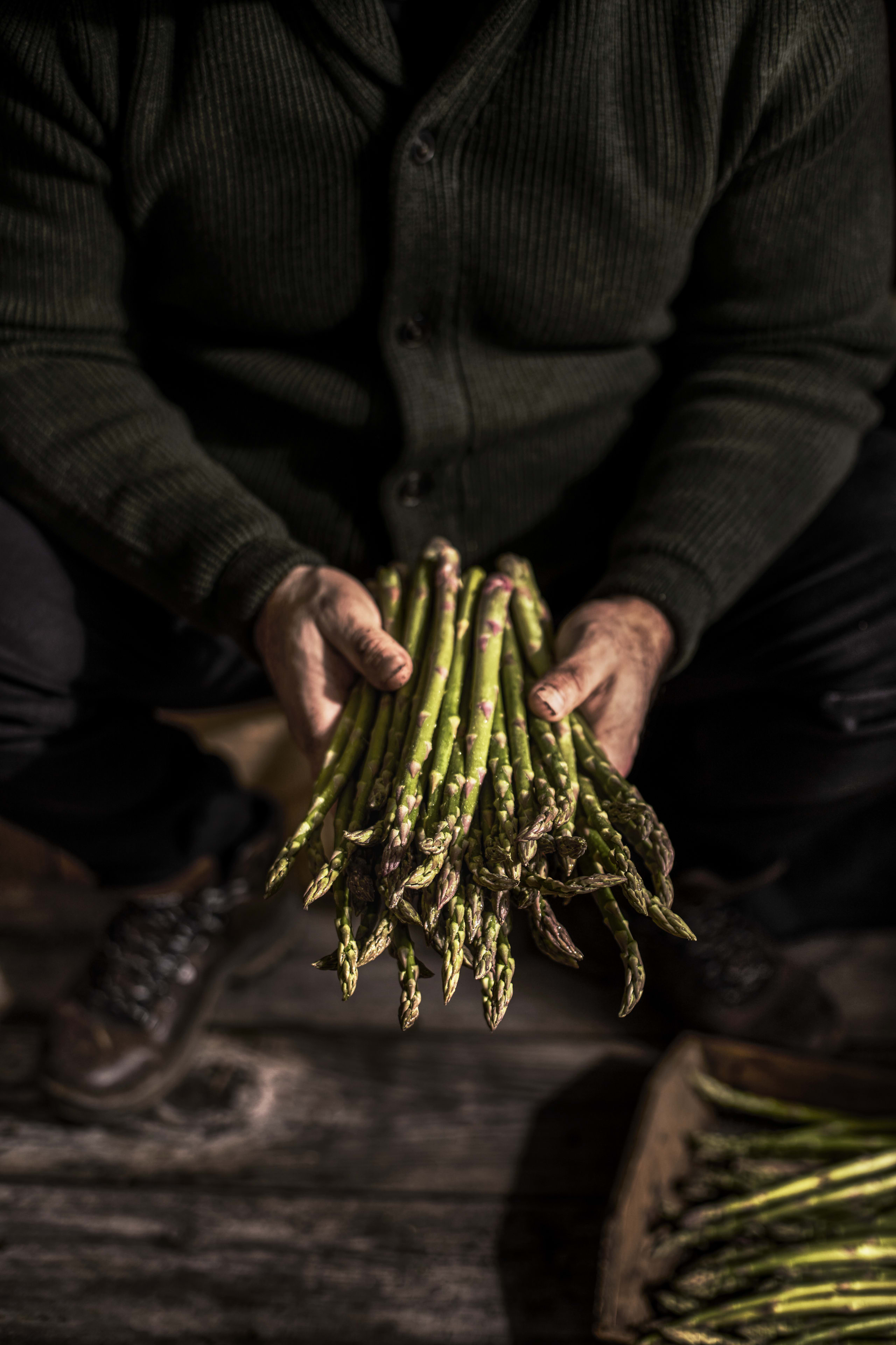 Asparagus Bundle 3 of 4