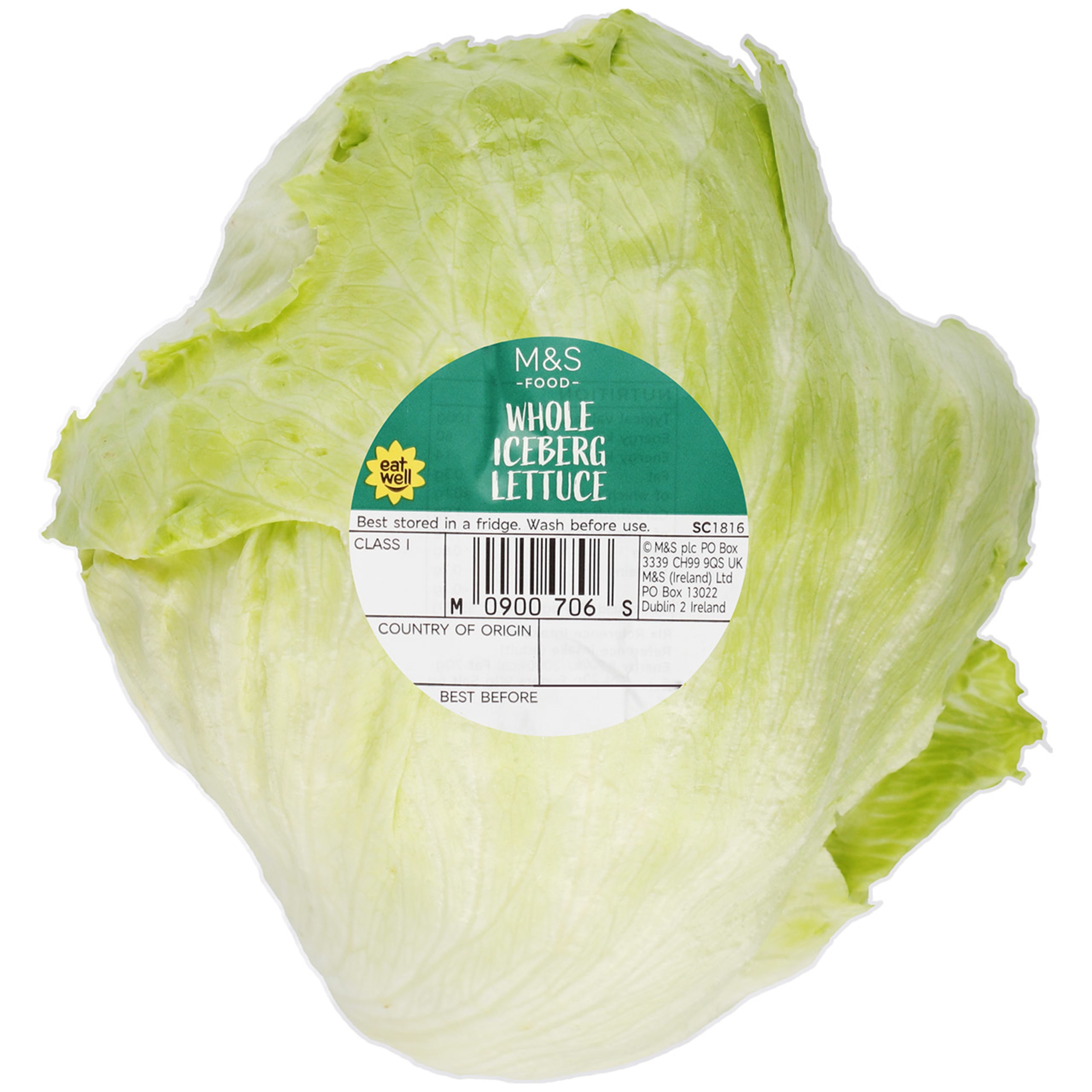 Iceberg Lettuce 1 of 1
