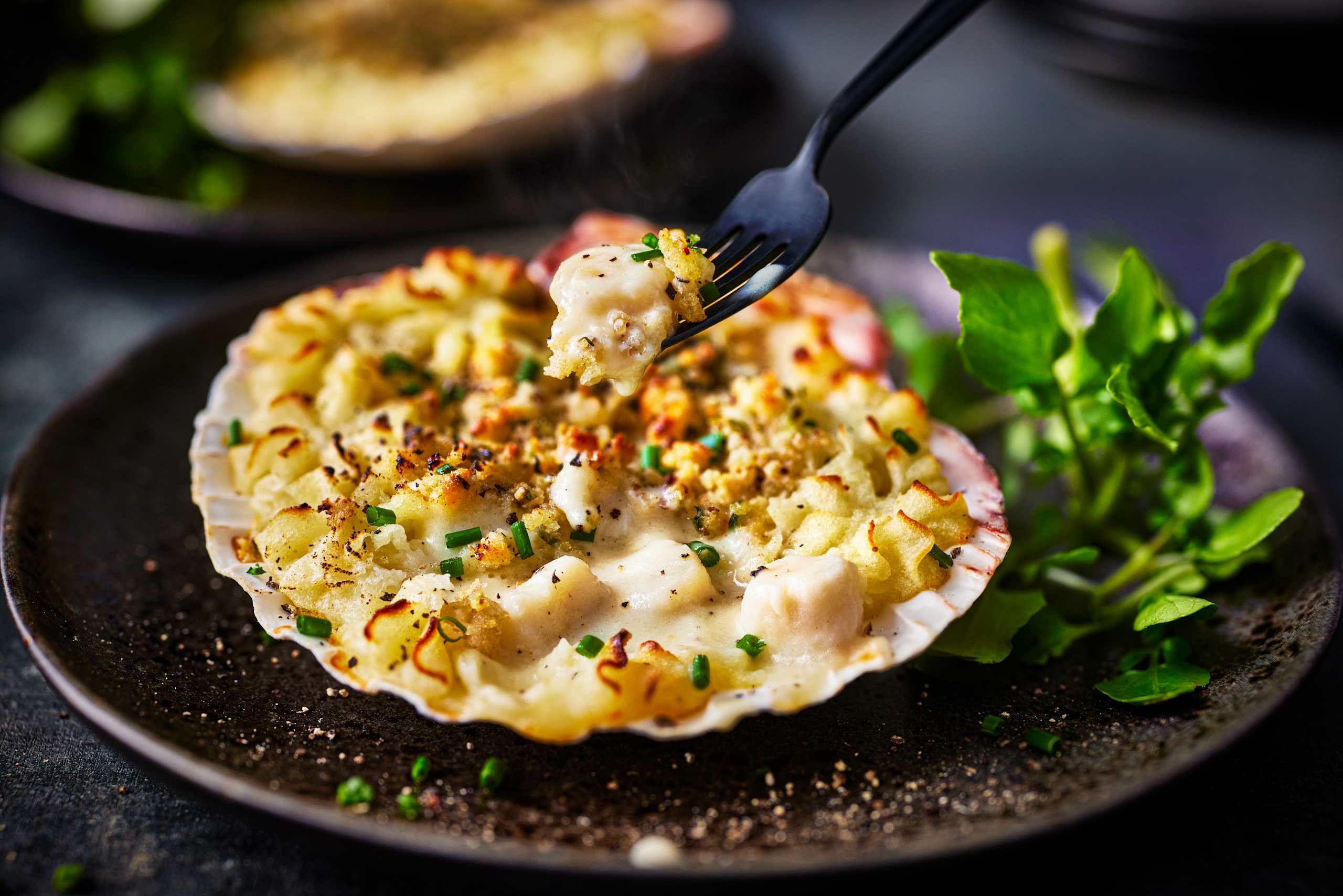 Coquilles St Jacques 2 of 2