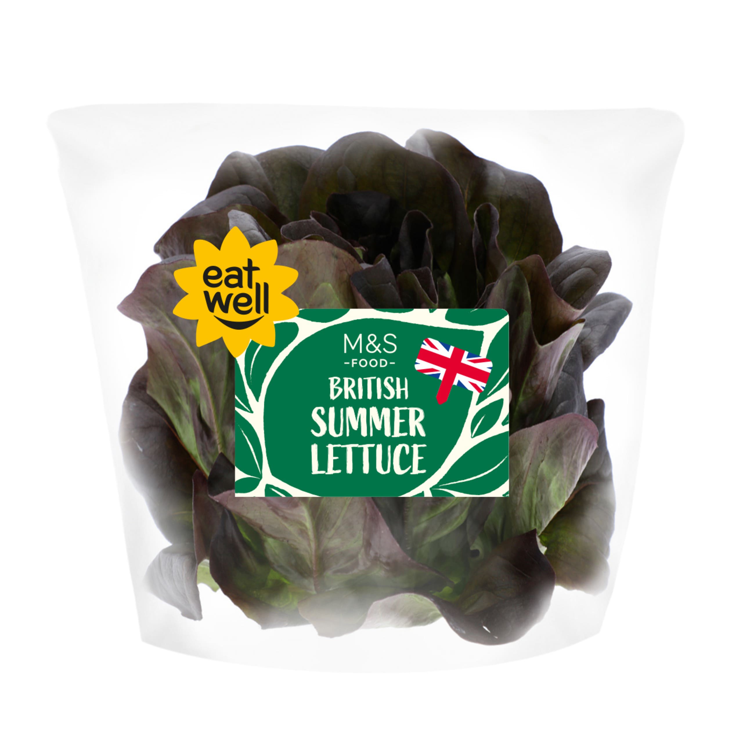 British Summer Lettuce 2 of 2