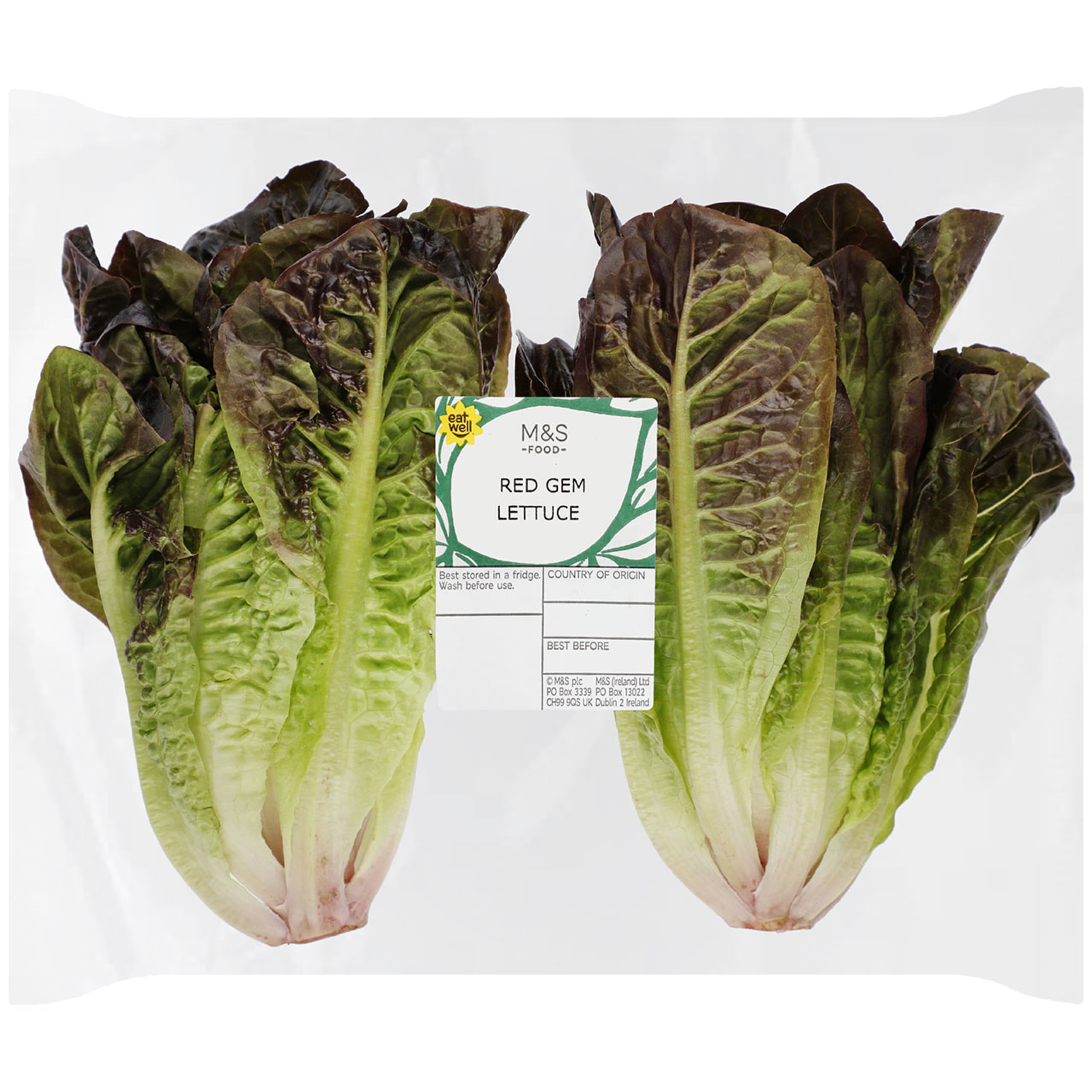Red Gem Lettuce 1 of 1