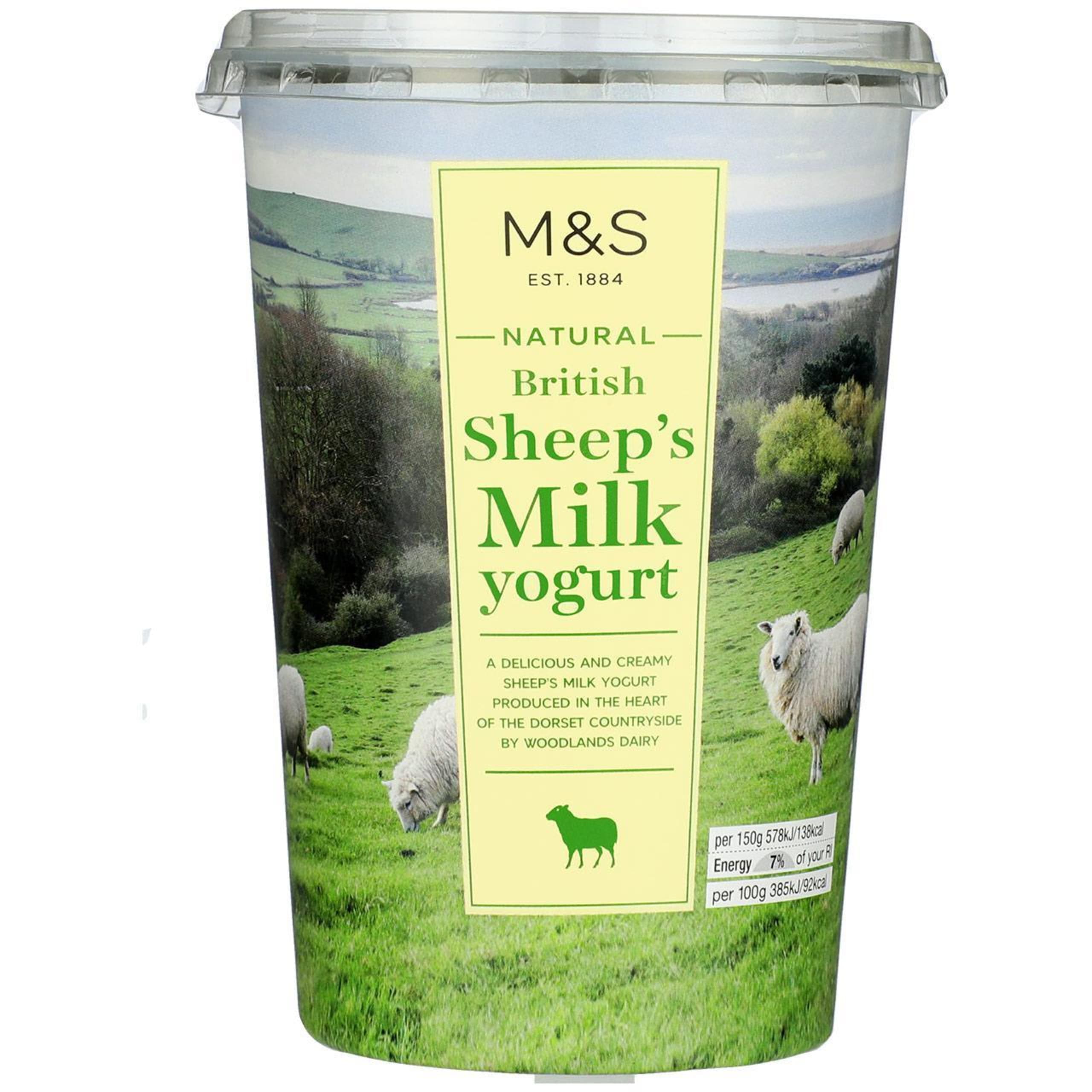 Natural British Sheep's Milk Yoghurt 1 of 1