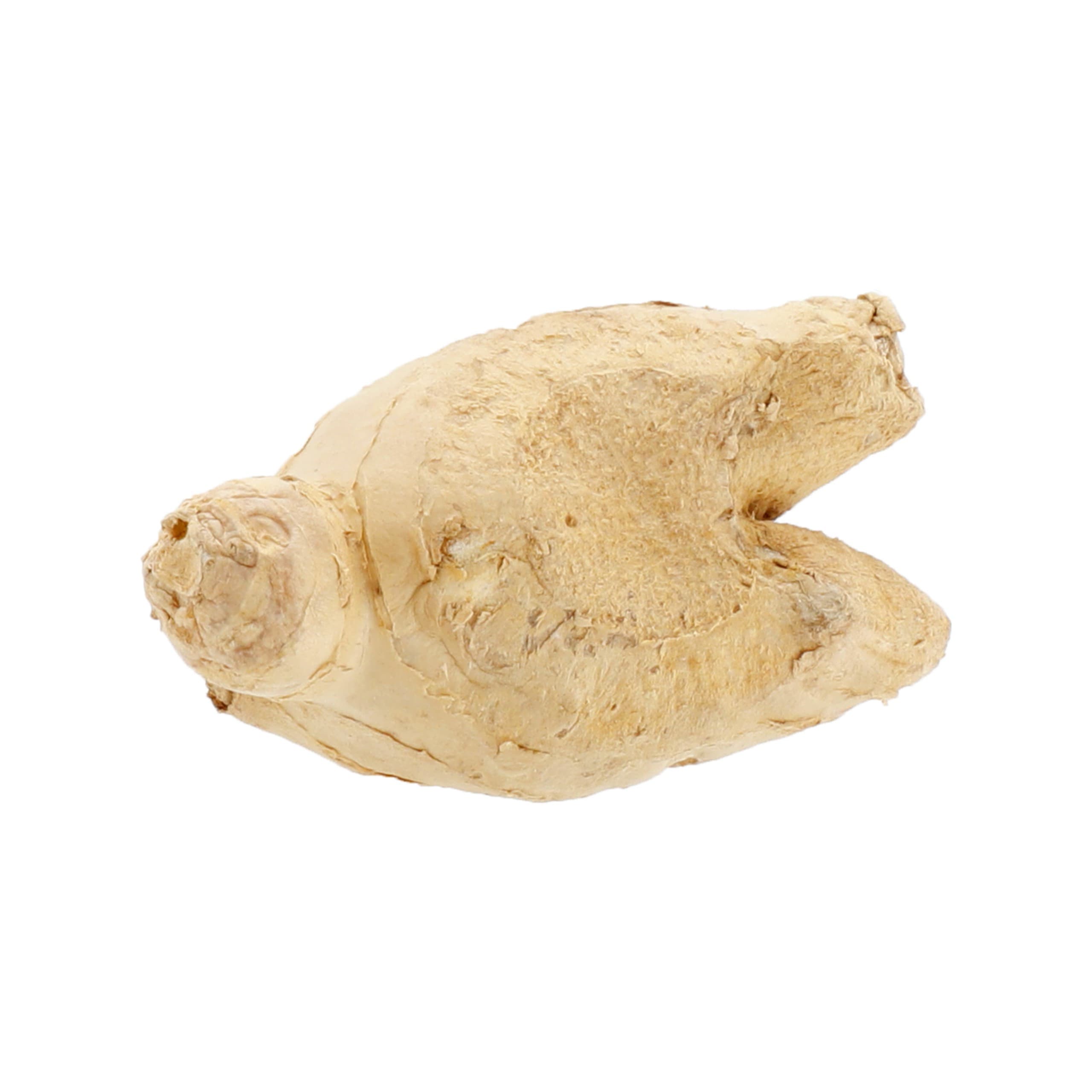 Loose Ginger 1 of 1