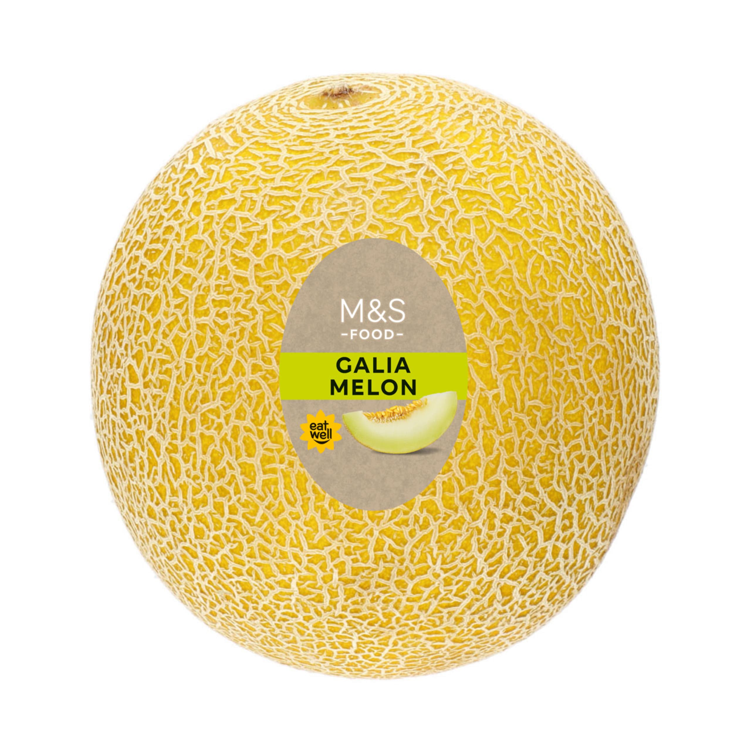 Galia Melon 1 of 6