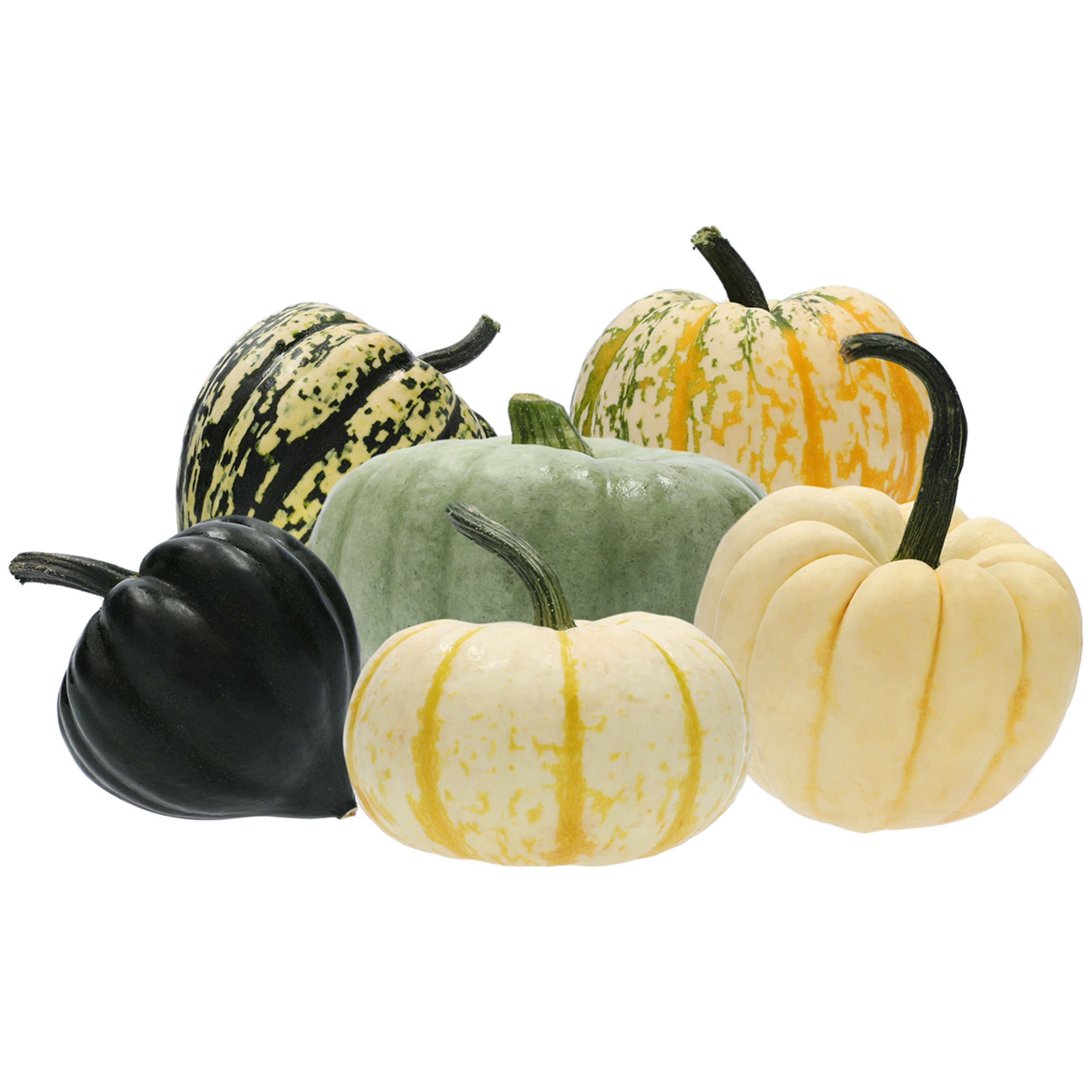 Mixed Squash 1 of 2
