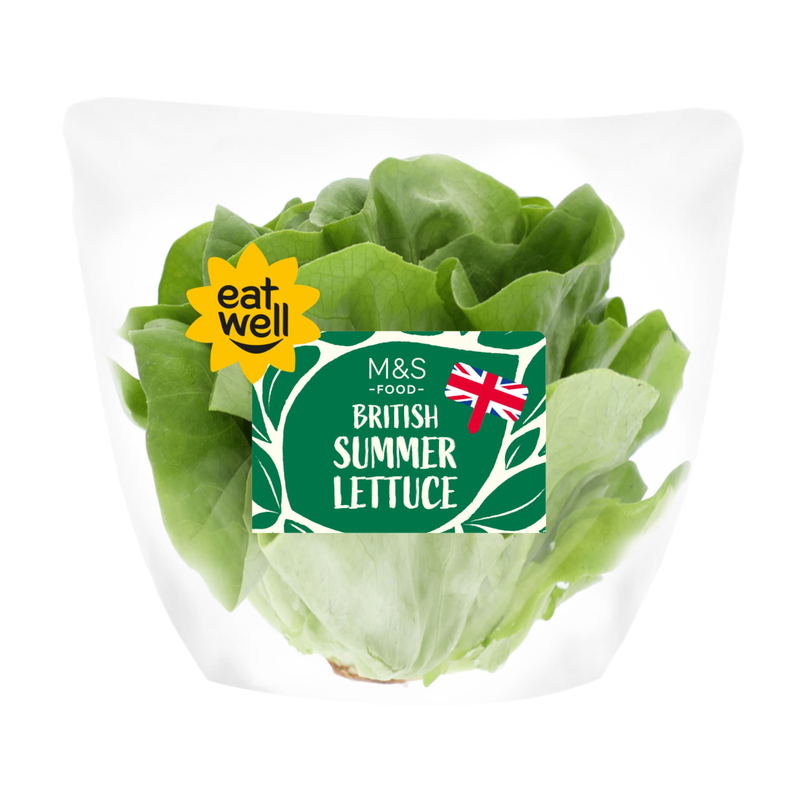 British Summer Lettuce 1 of 2