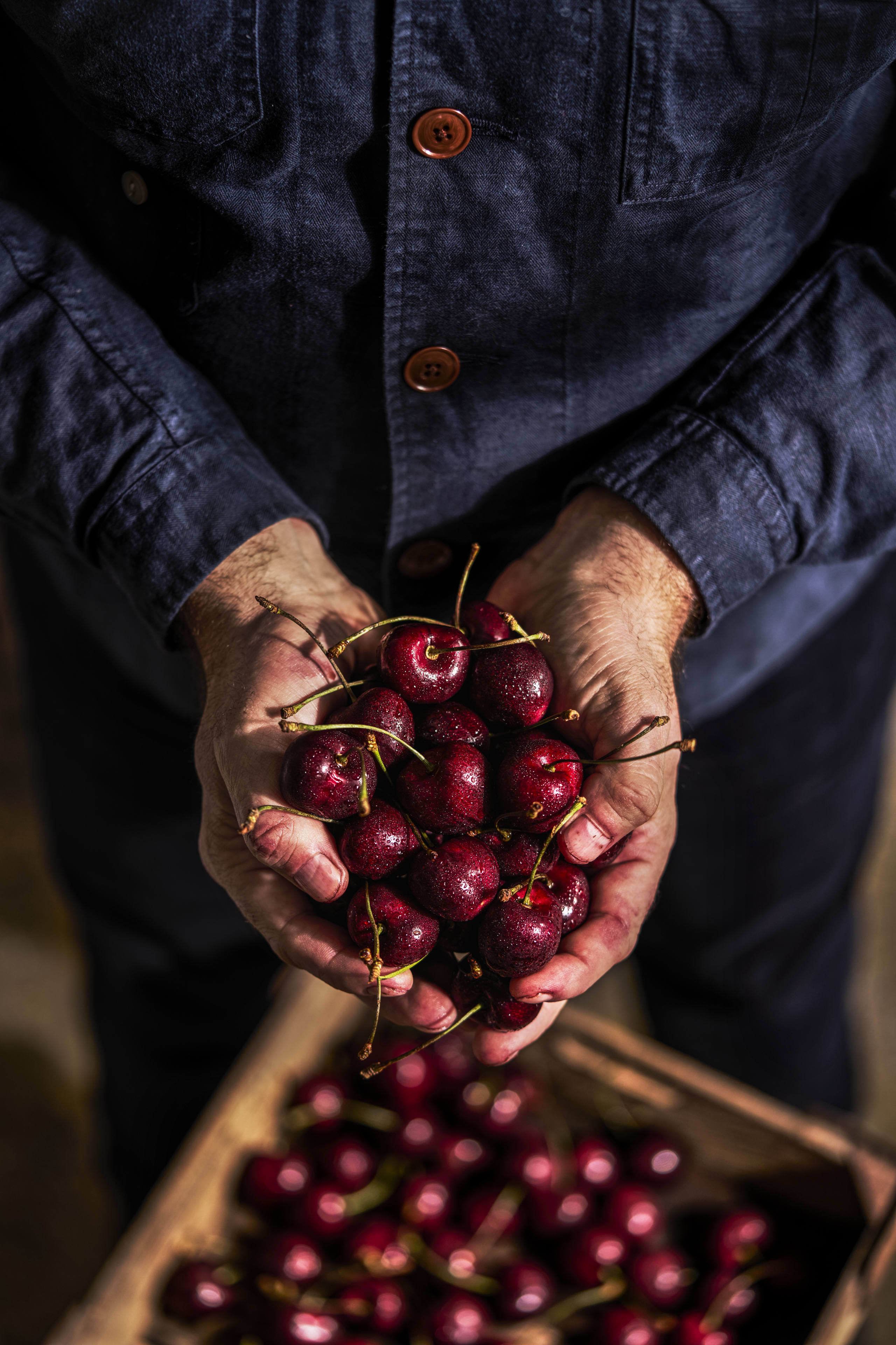 King Cherries 3 of 7