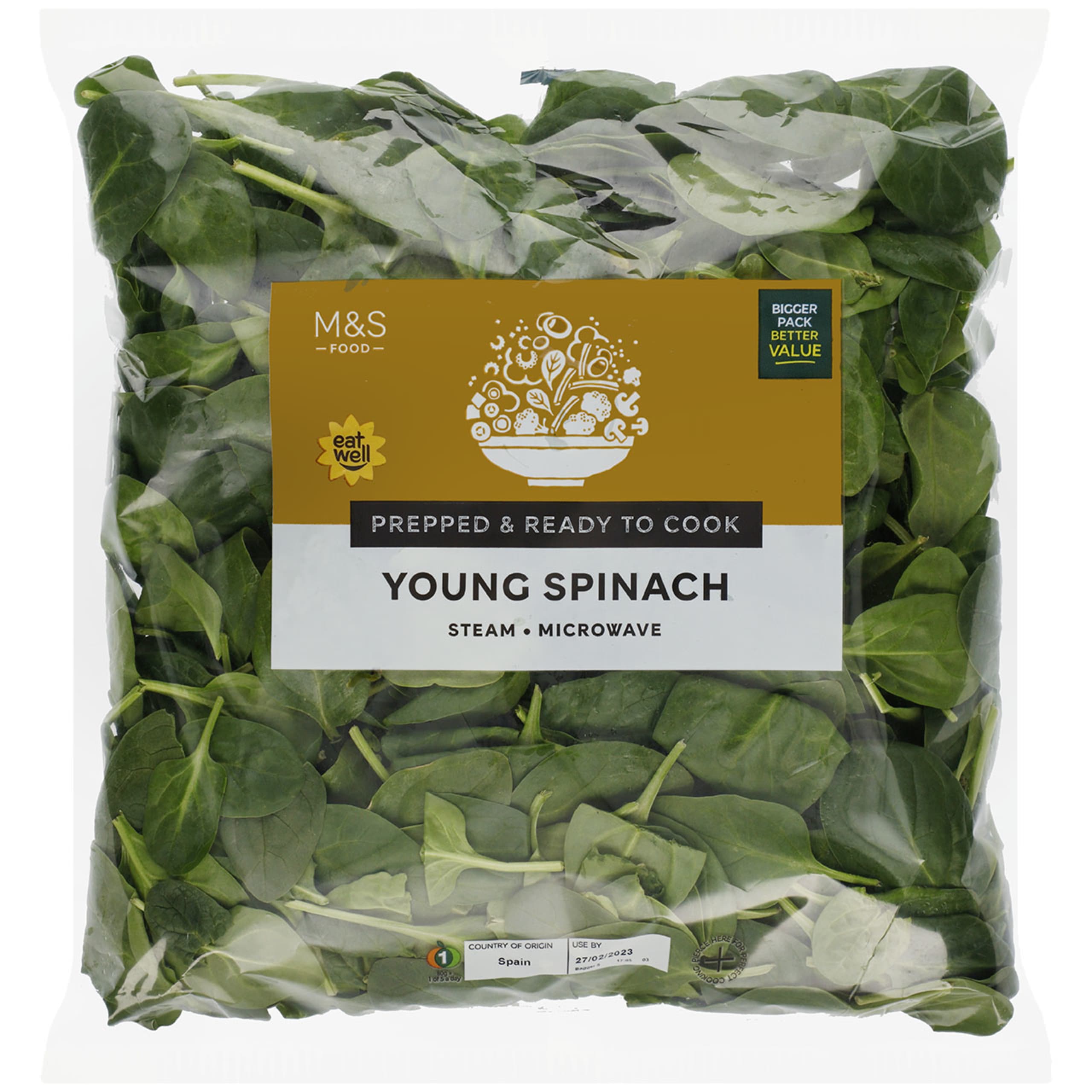 Young Spinach 1 of 3