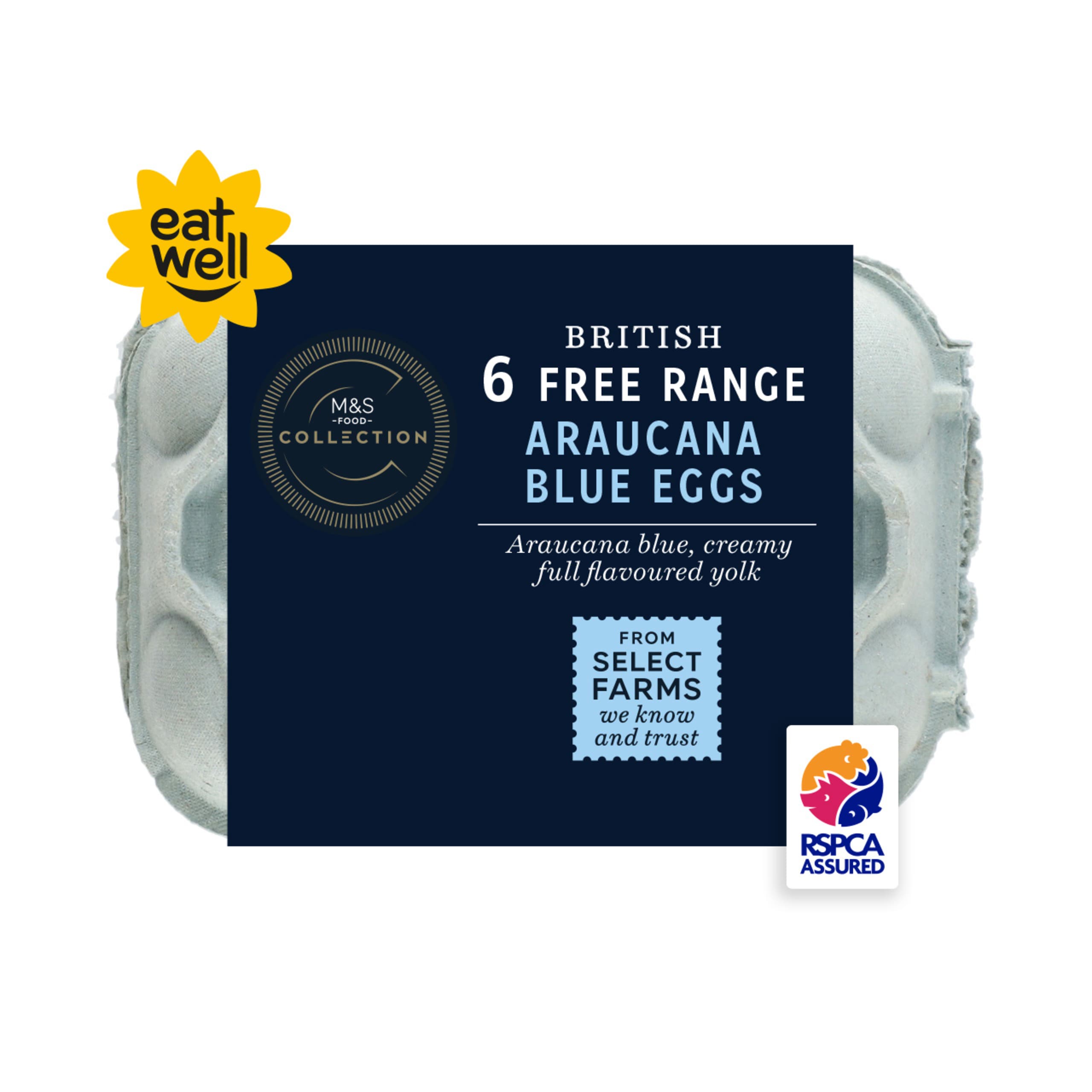 Collection British Free Range Araucana Blue Eggs 1 of 1