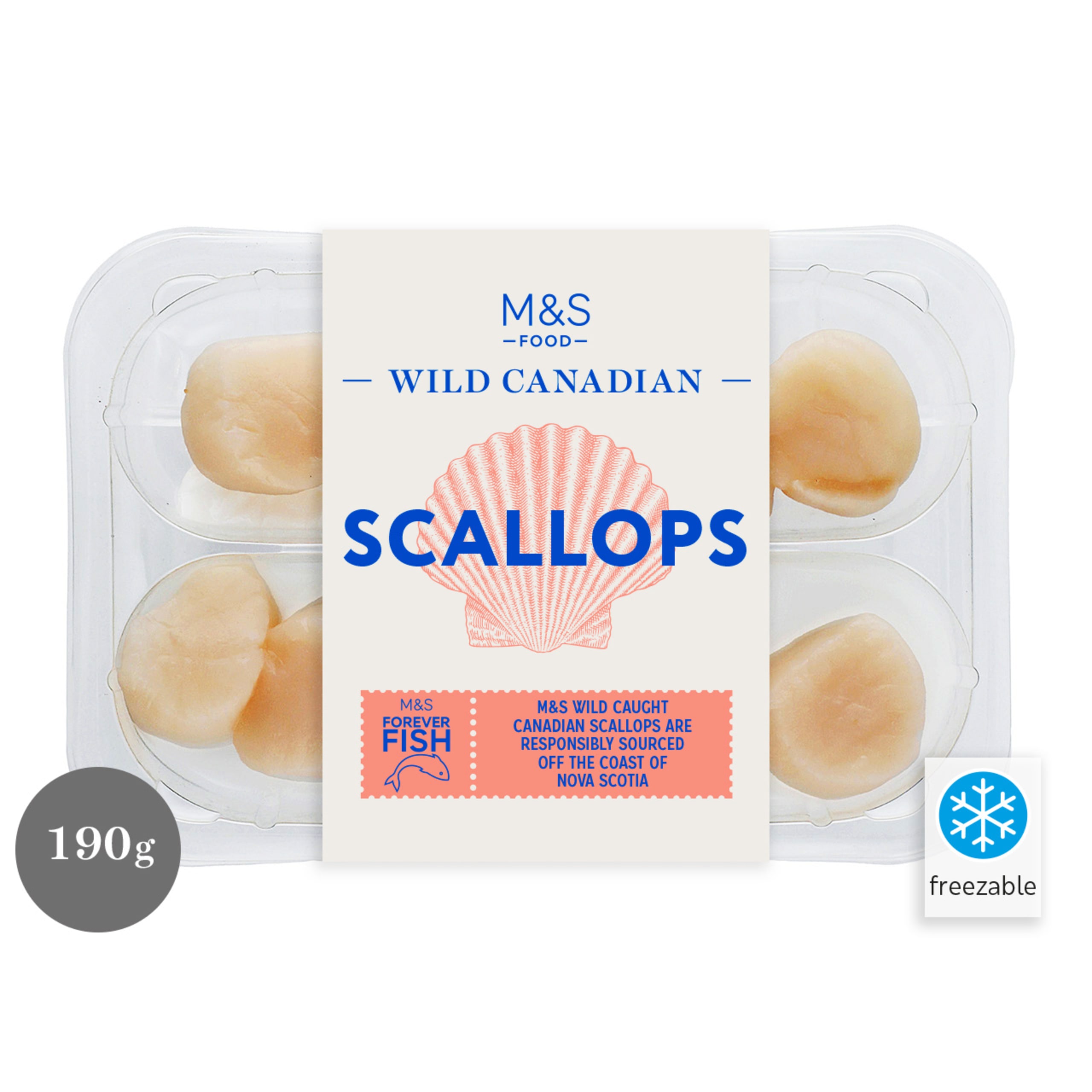 Wild Canadian Scallops 1 of 2