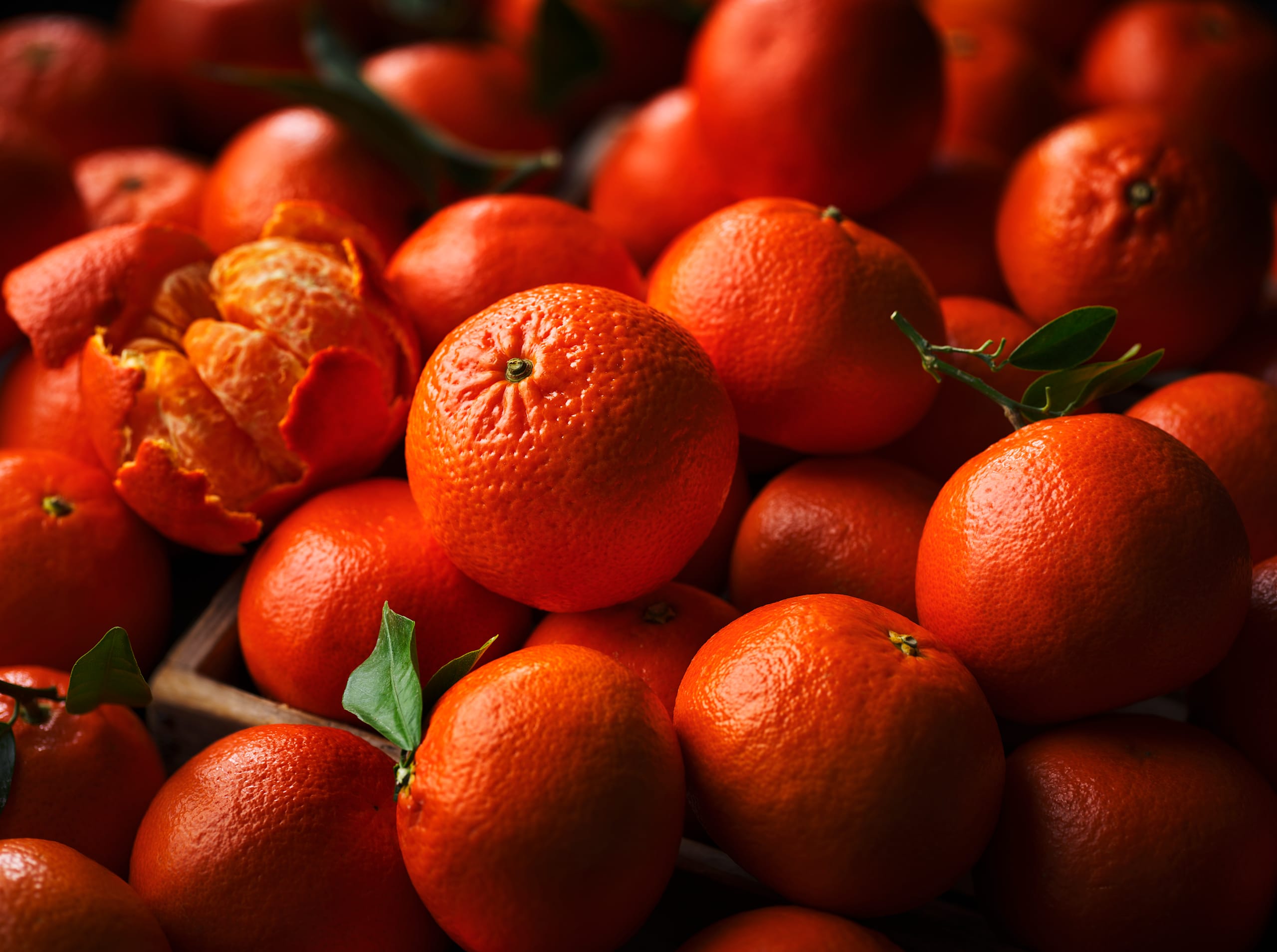 King Tangerines 2 of 2