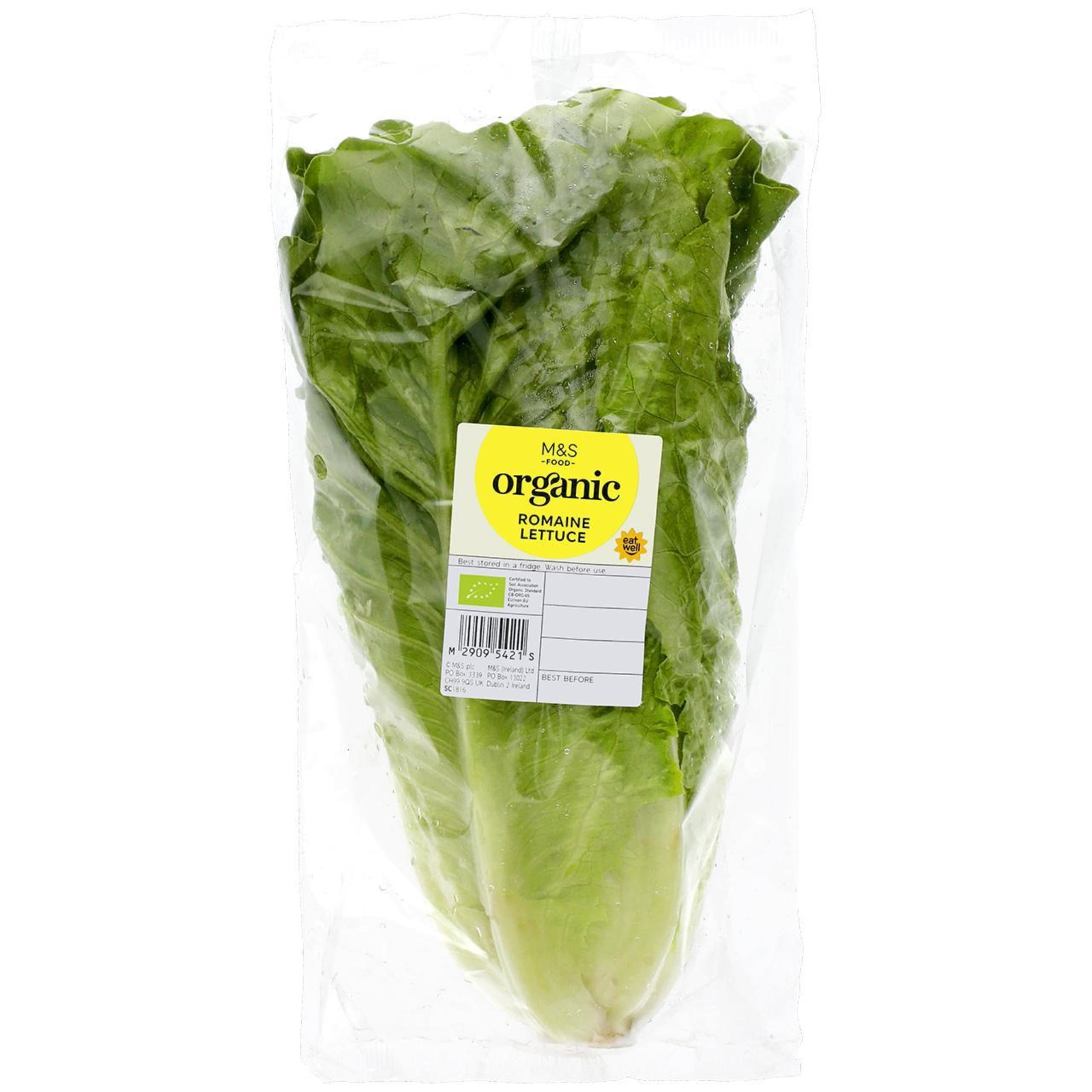 Organic Romaine Lettuce 1 of 1