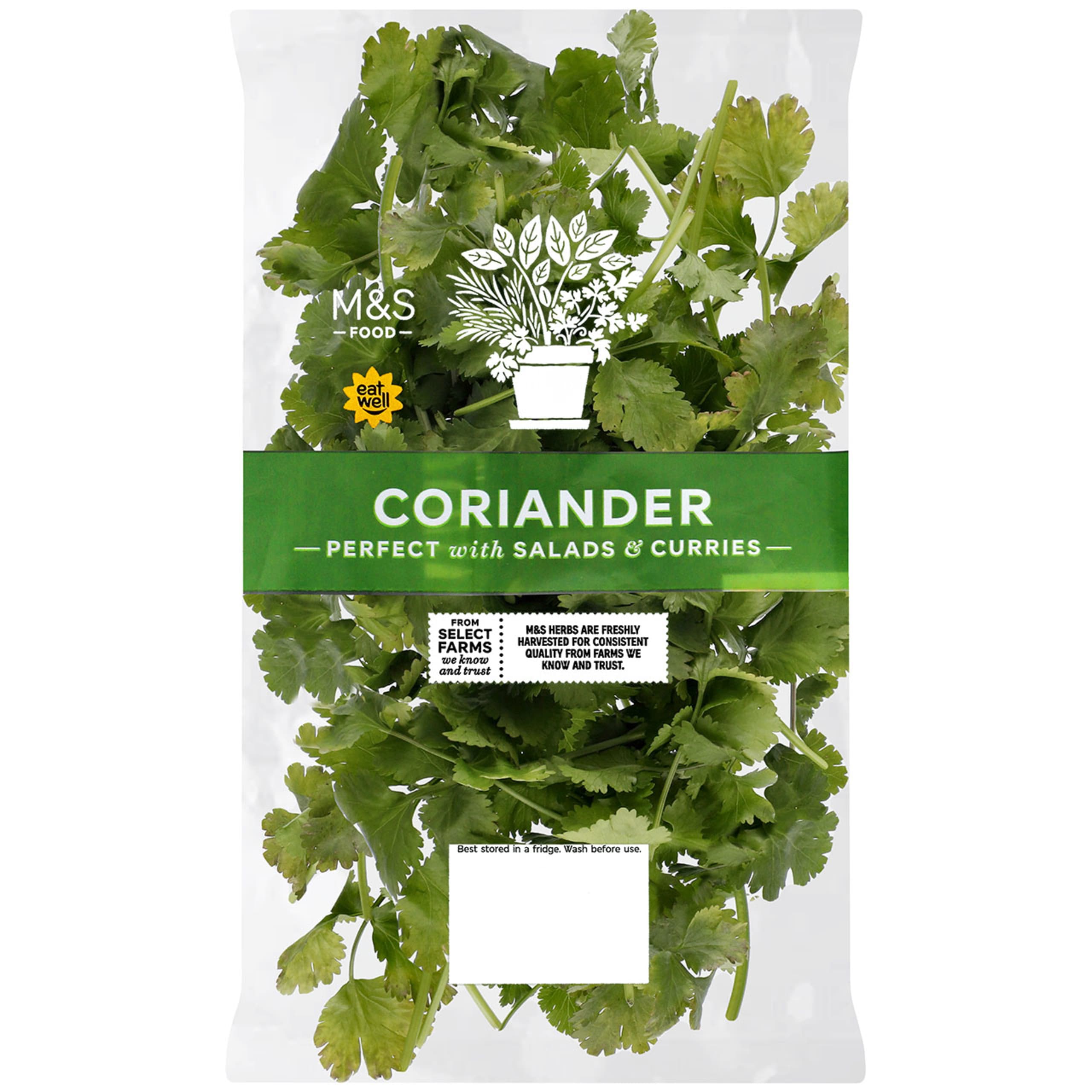 Coriander 1 of 2