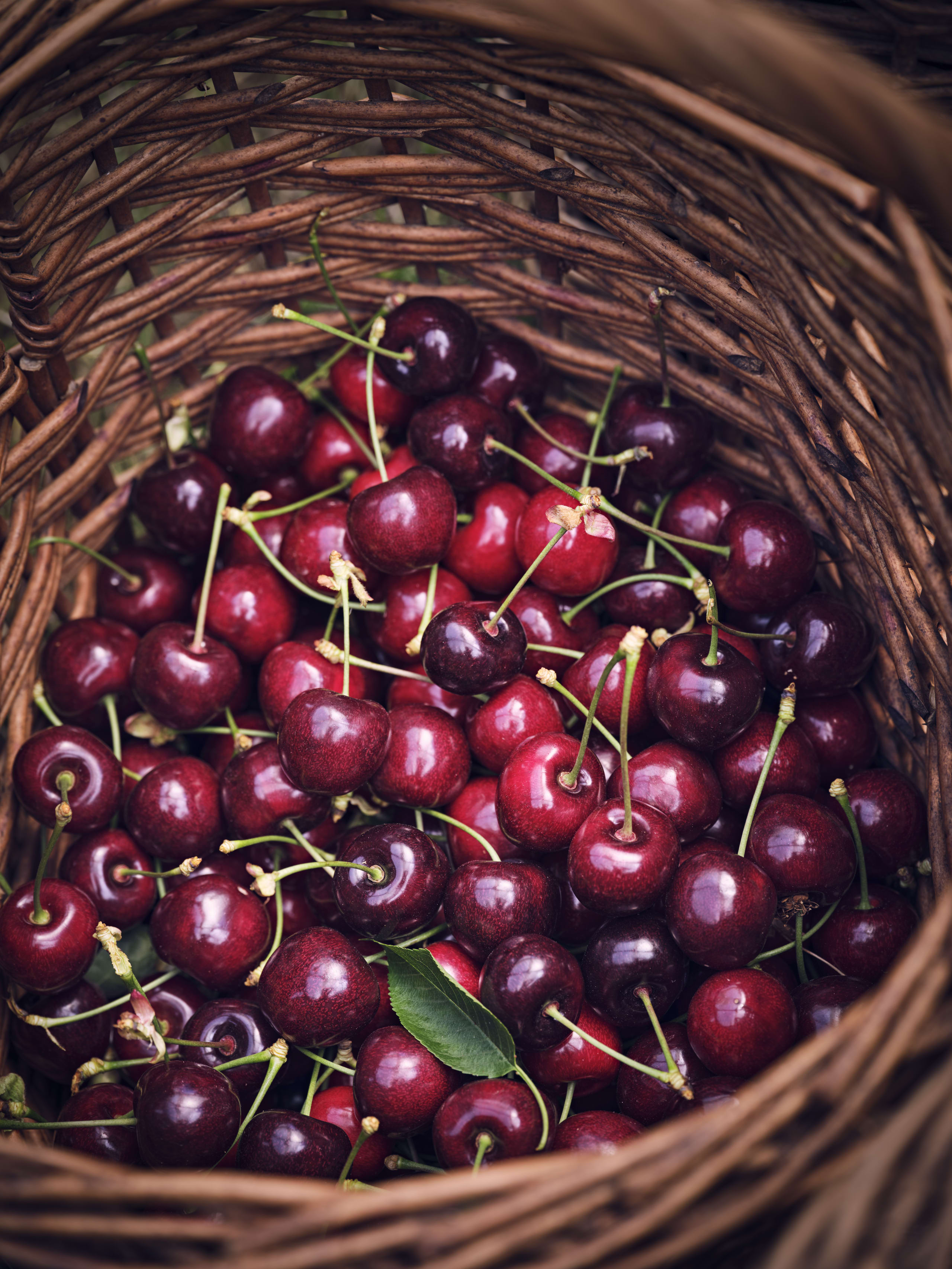 King Cherries 6 of 7