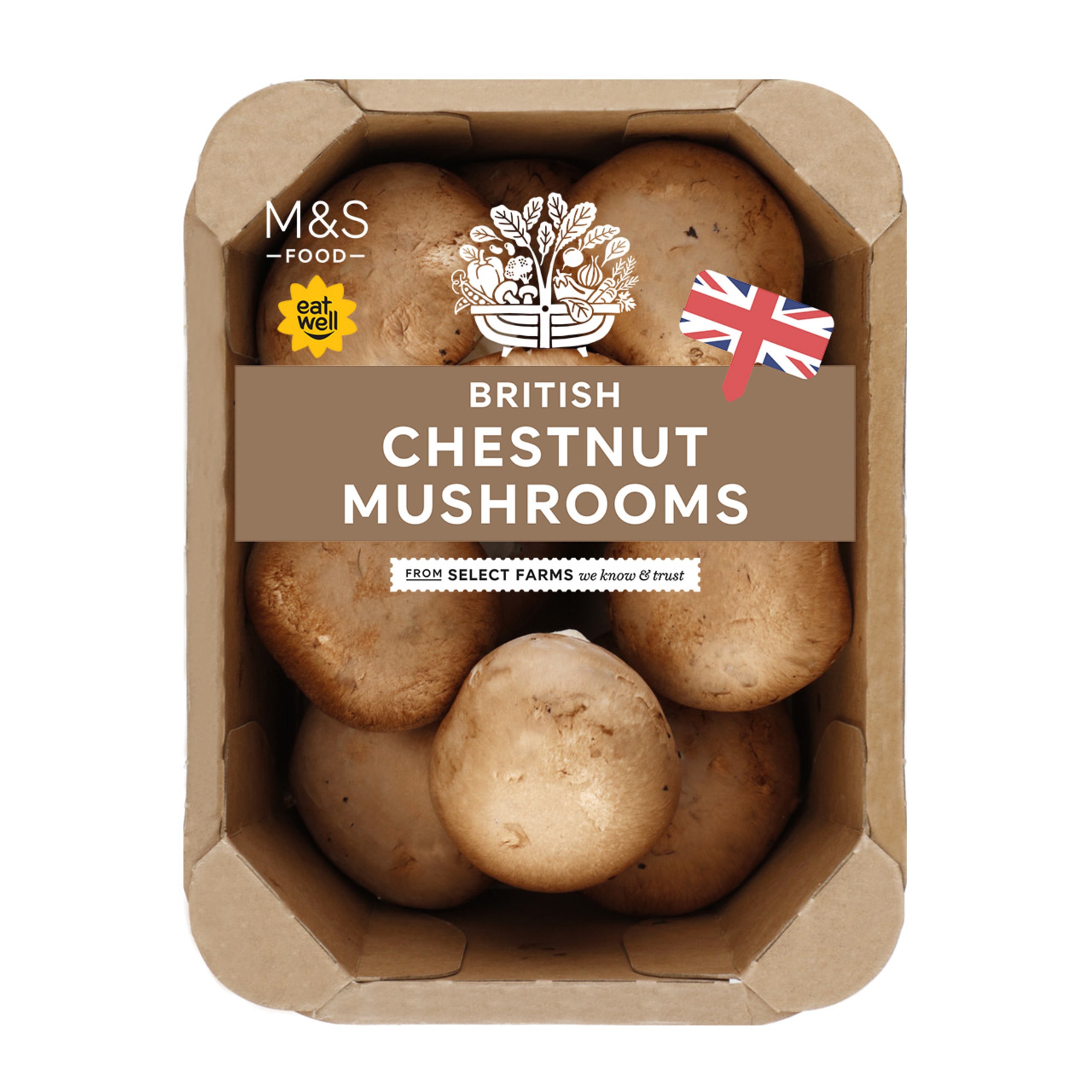 British Chestnut Mushrooms 1 of 4