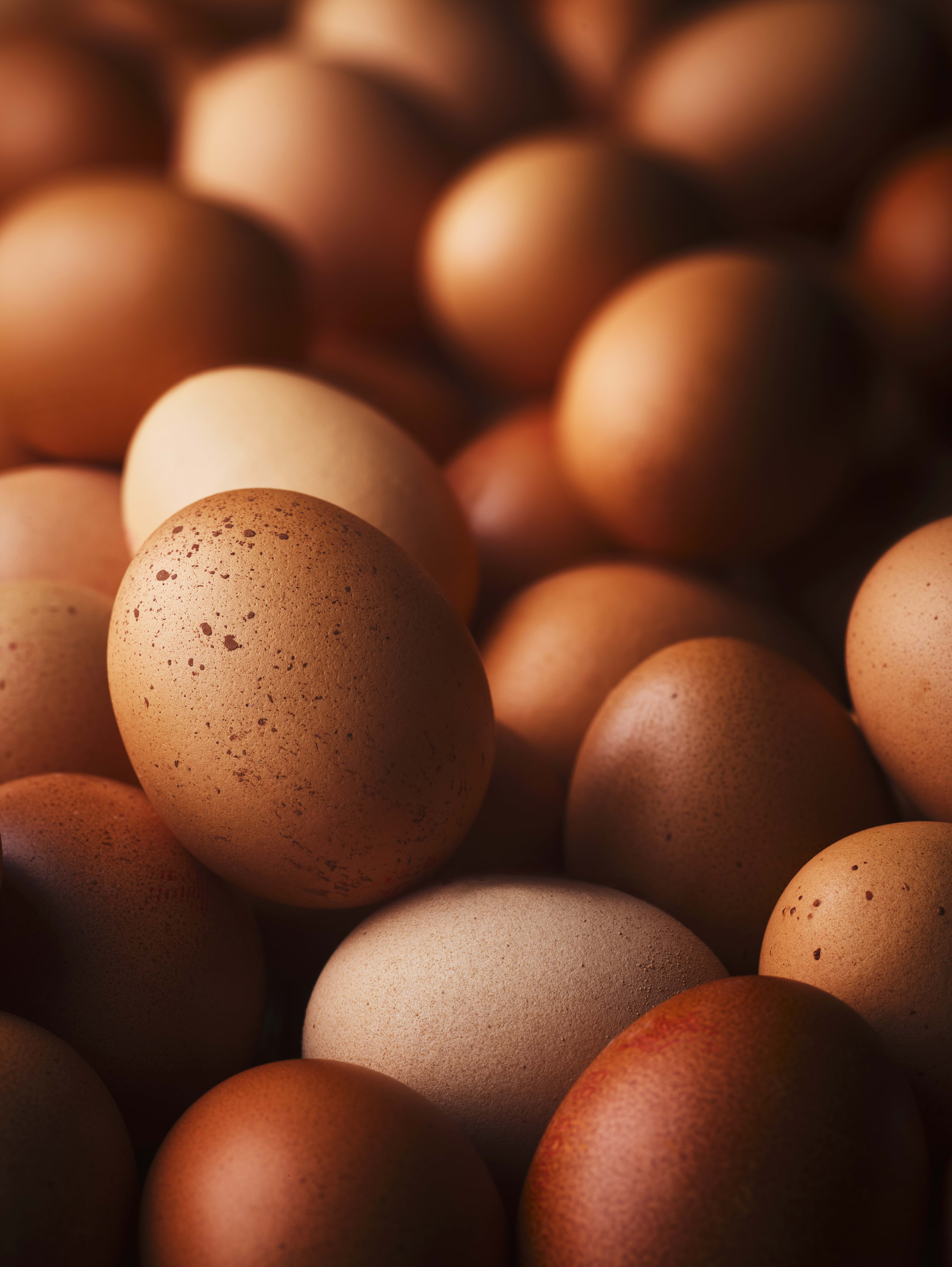 British Free Range Very Large Eggs 2 of 2