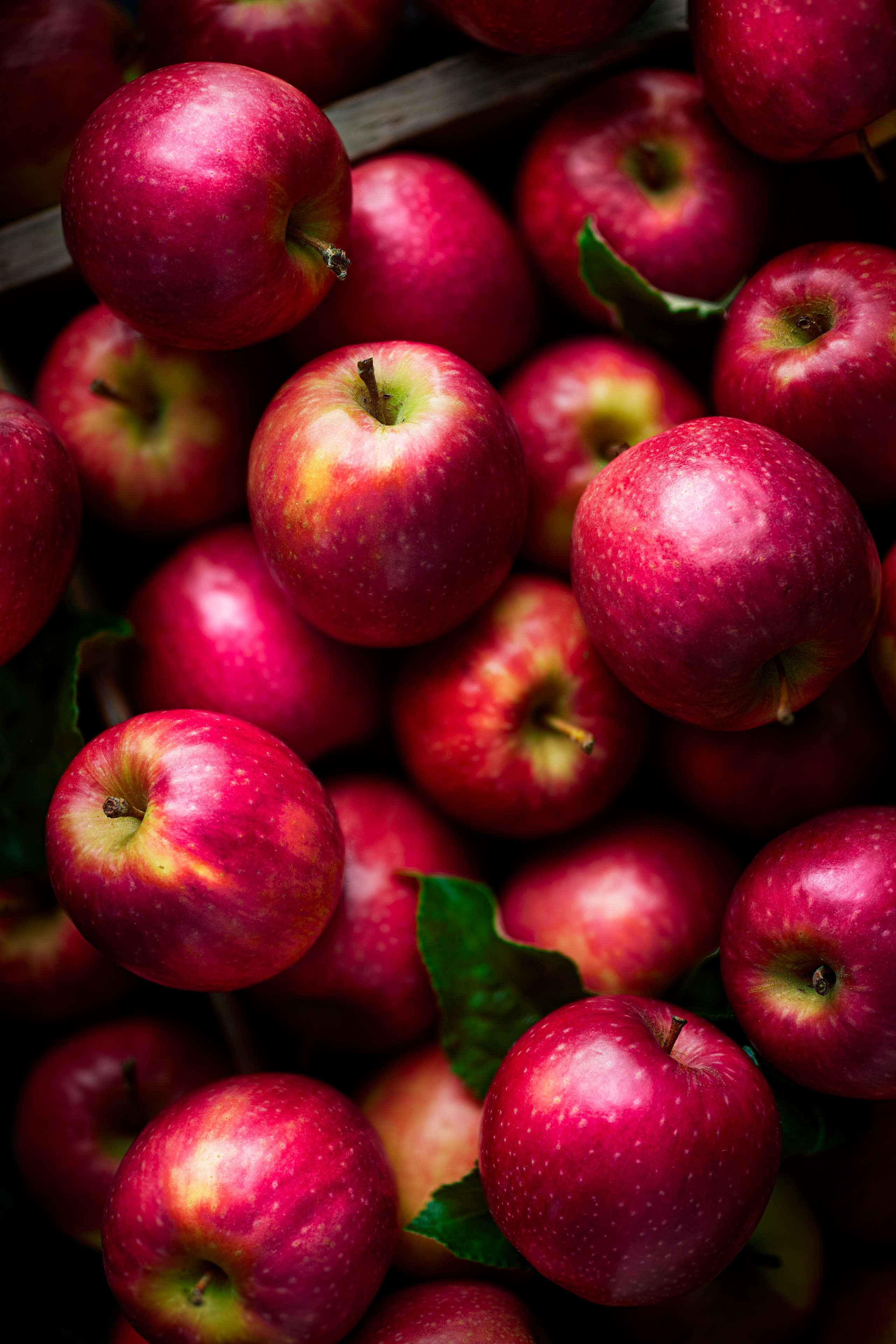 Pink Lady Apples 3 of 3