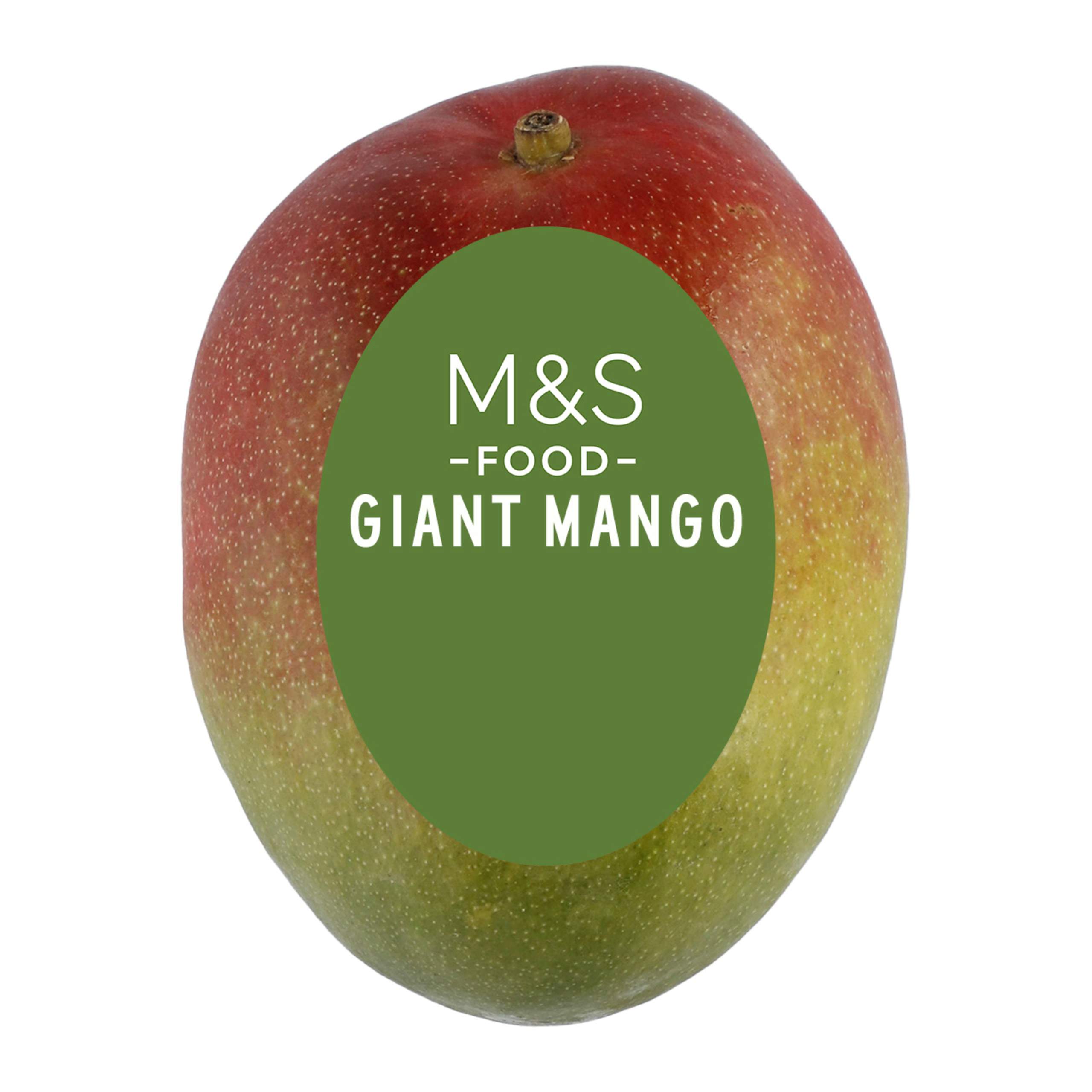 Giant Mango 1 of 1