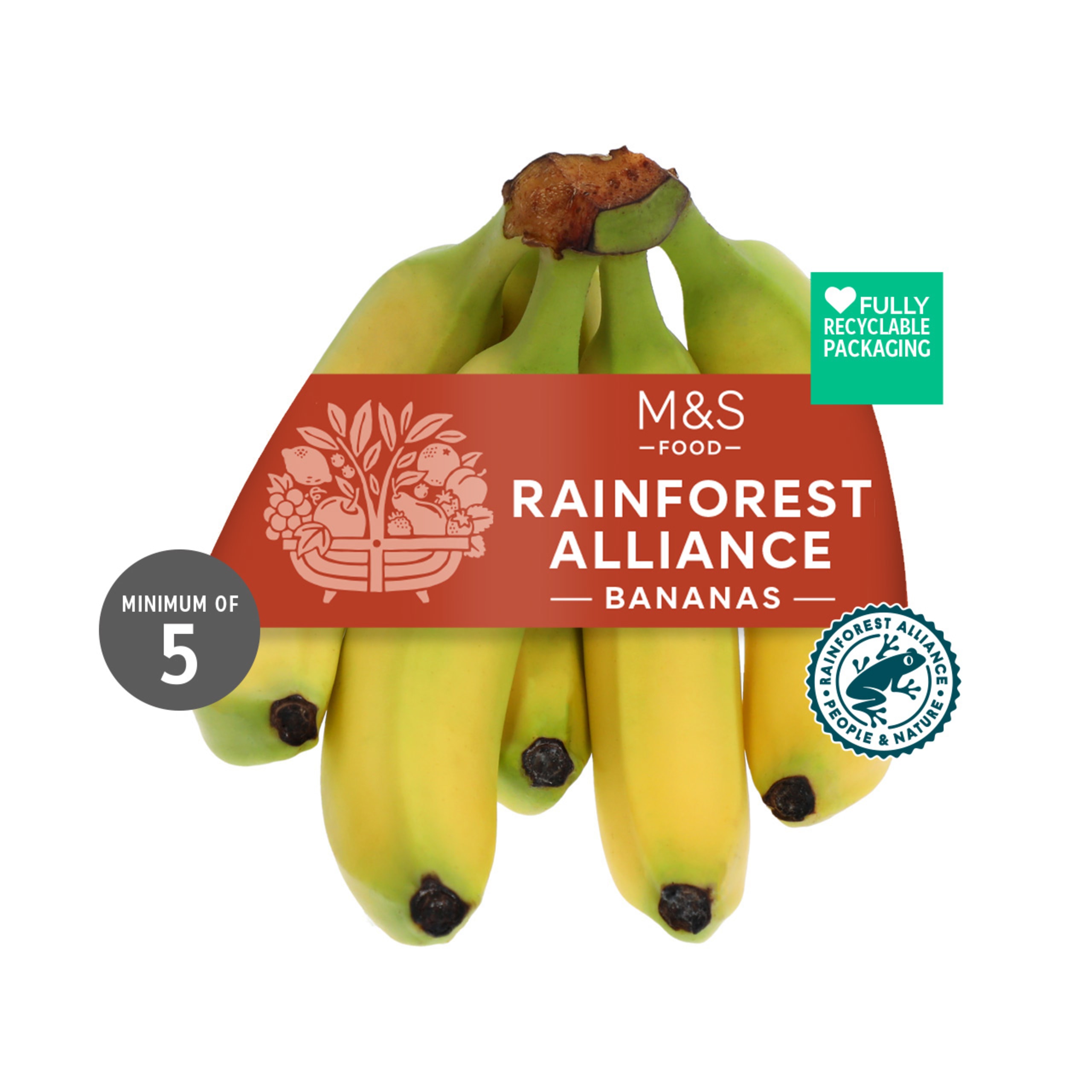 Rainforest Alliance Bananas 1 of 1