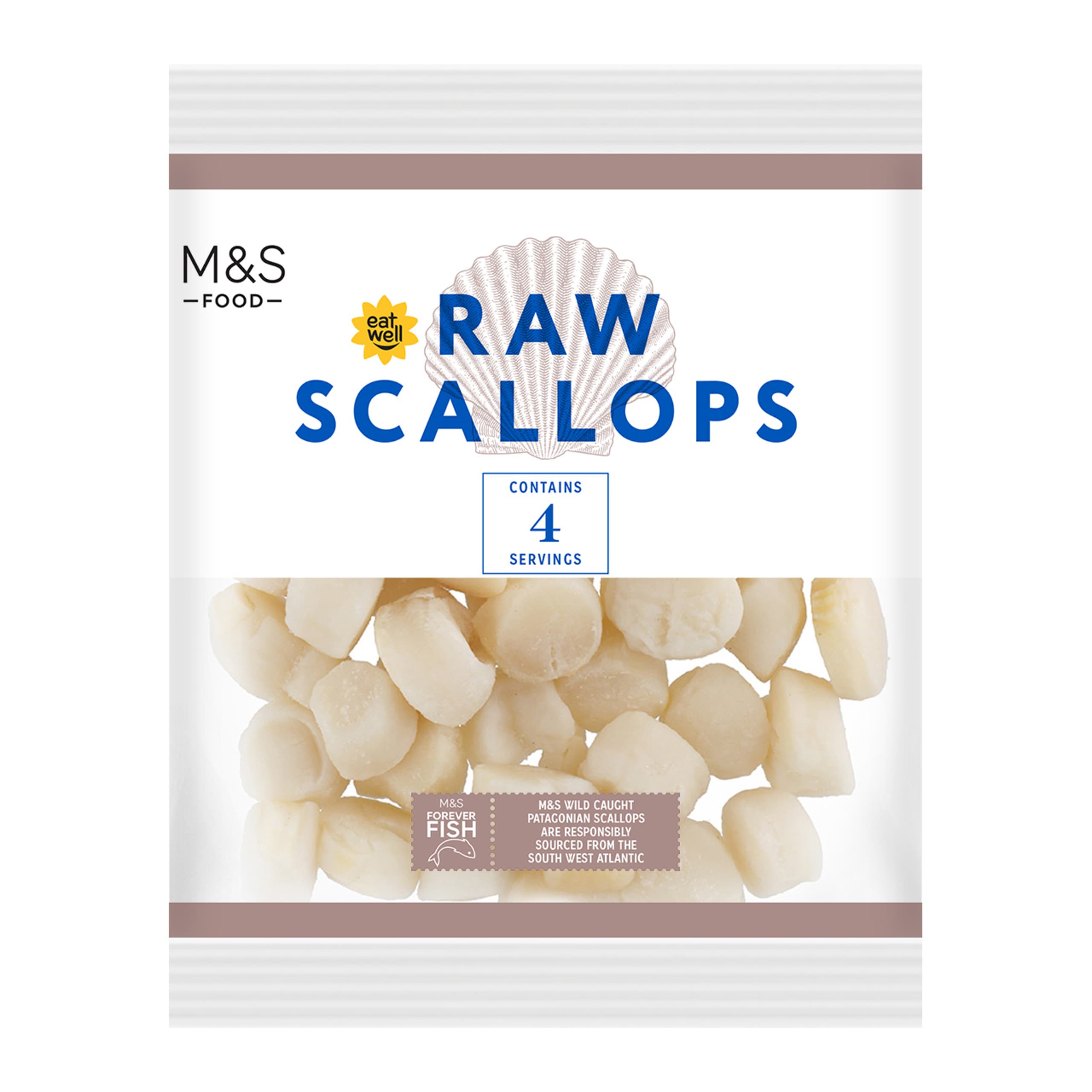 Raw Scallops 1 of 2