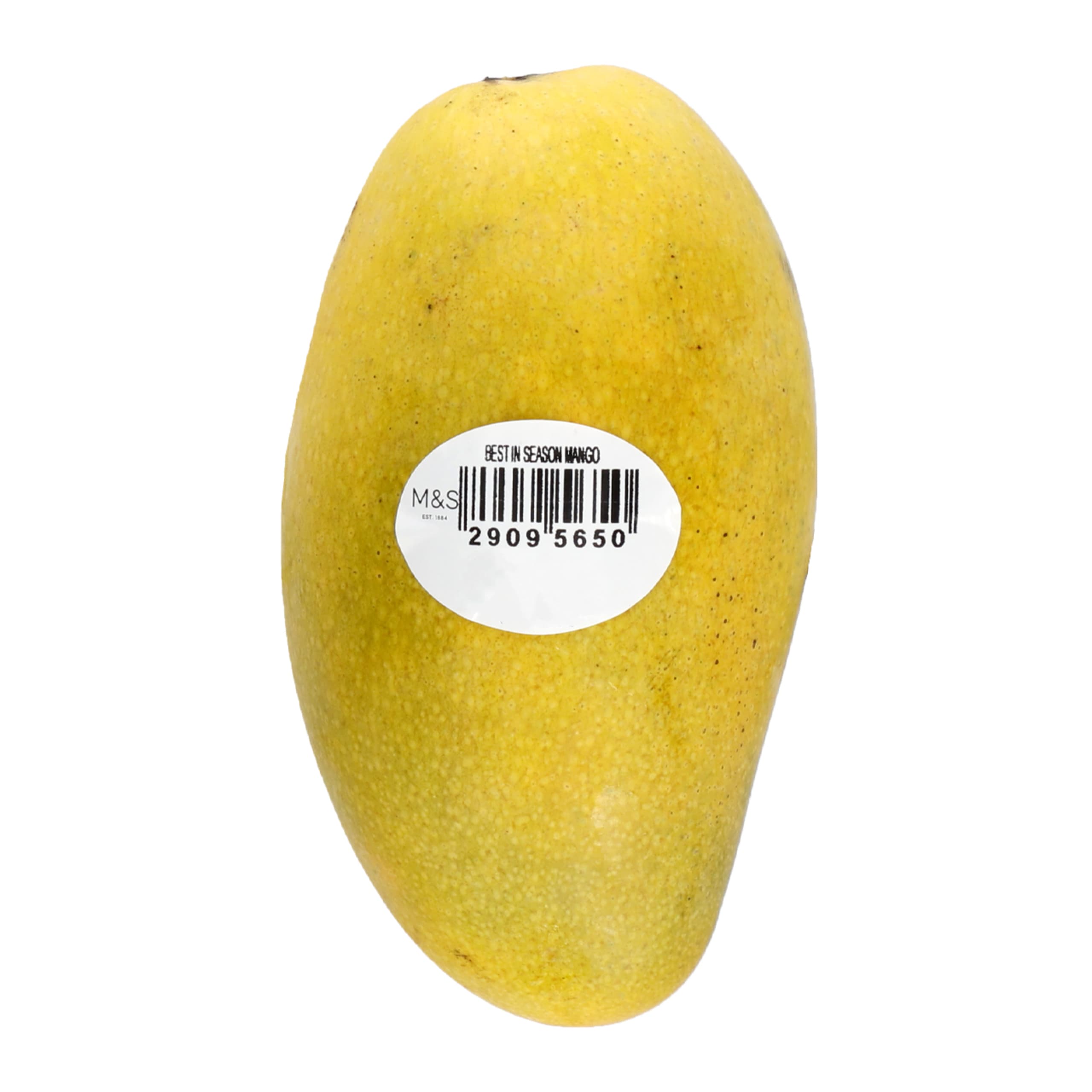Best in Season Mango 1 of 2