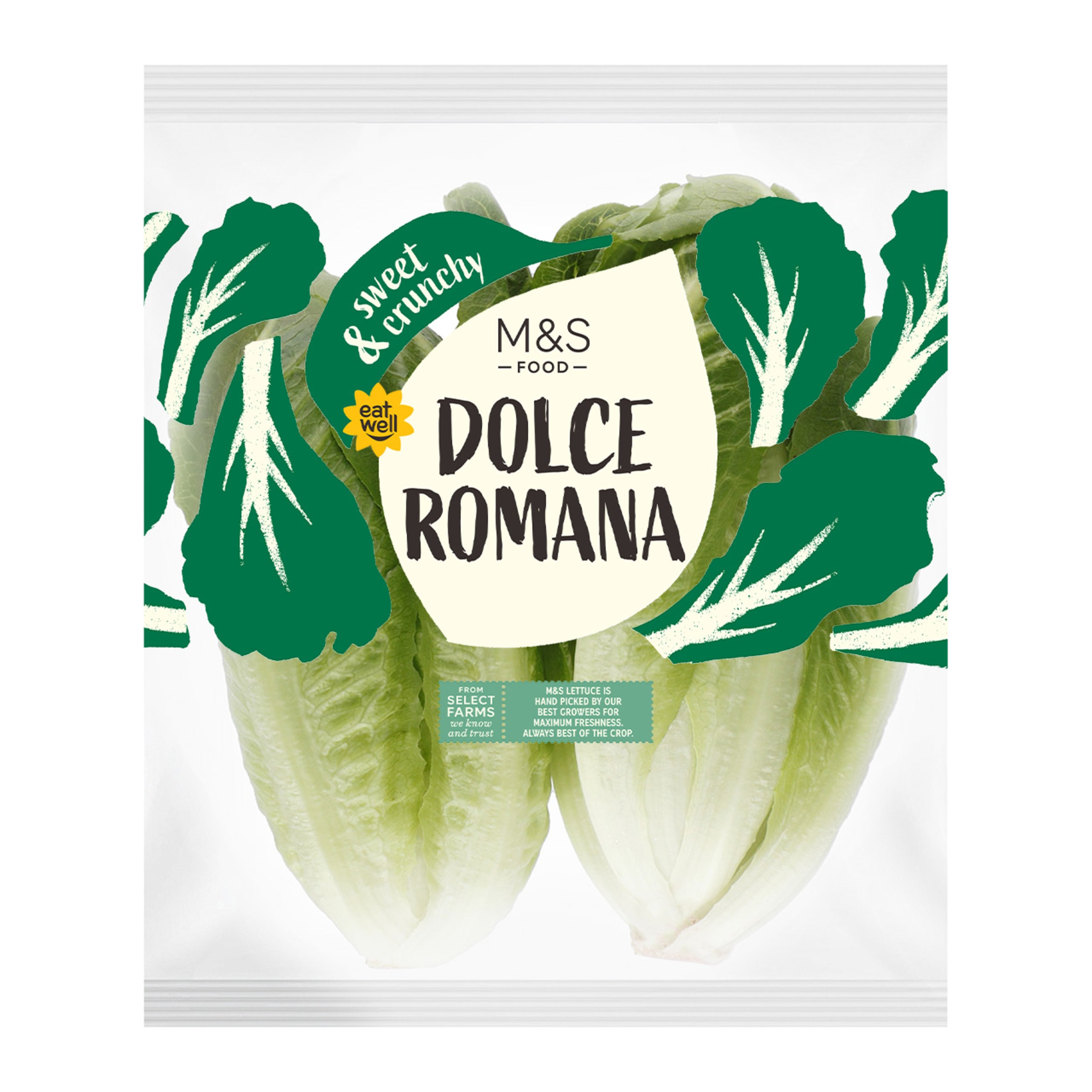 Dolce Romana Lettuce 1 of 1