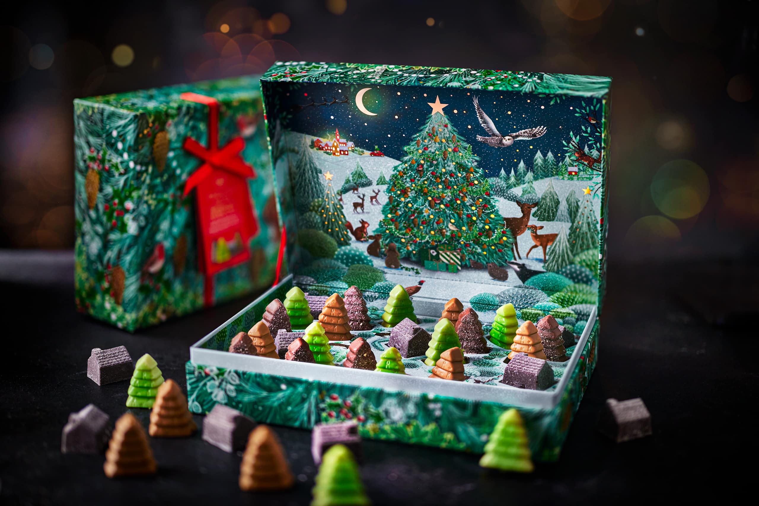 Enchanted Winter Woodland 2 of 2