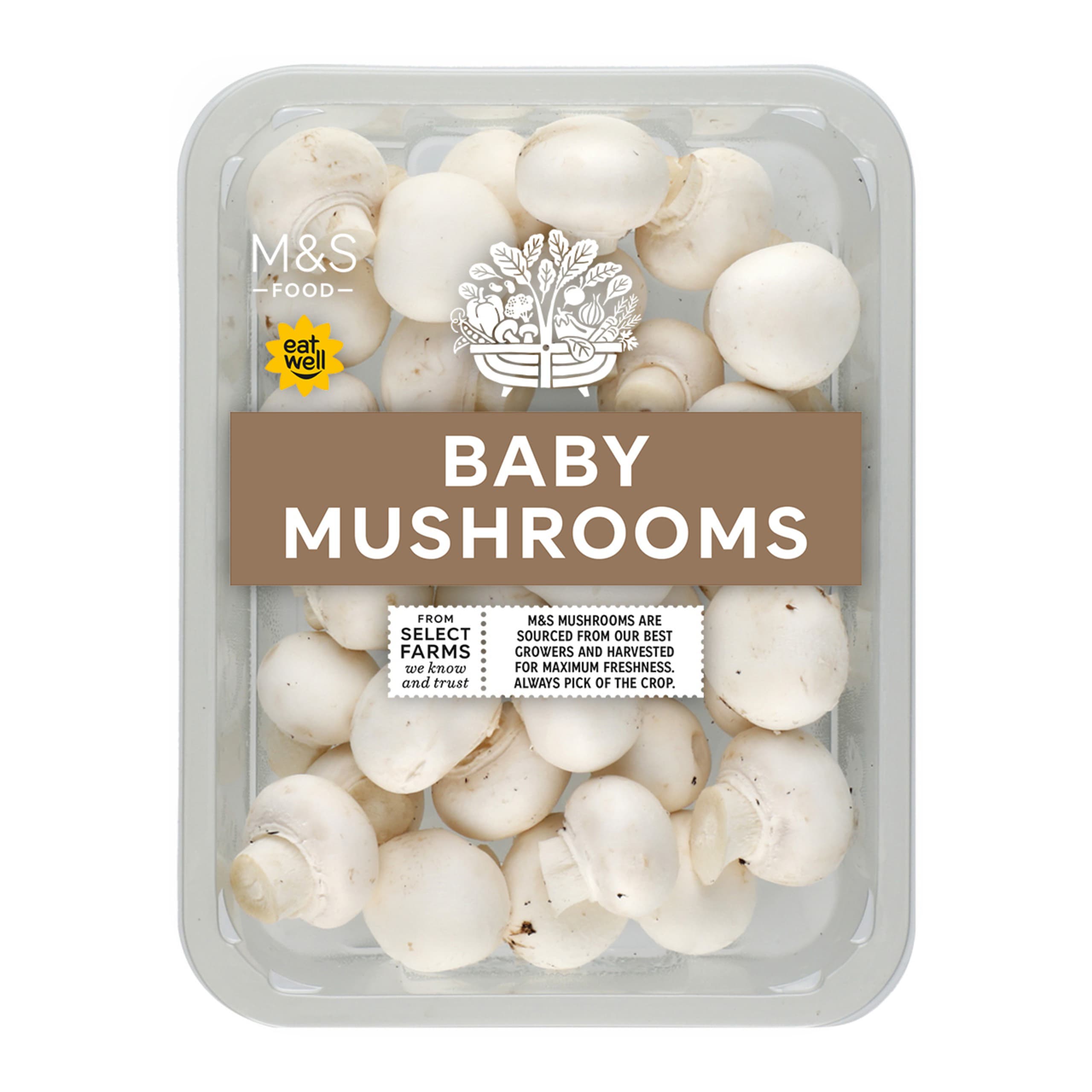British Baby Mushrooms 1 of 1
