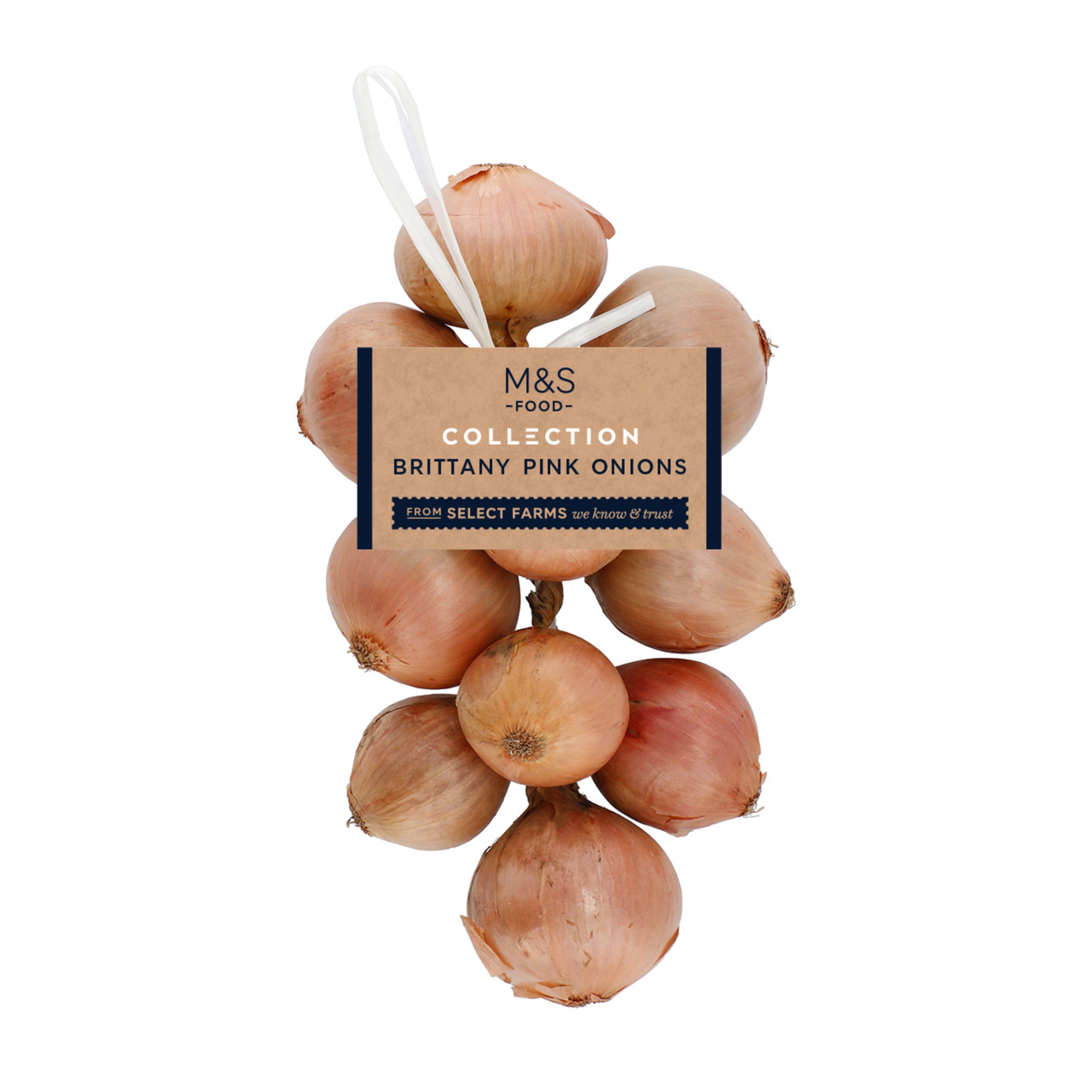 Brittany Pink Onions 1 of 1