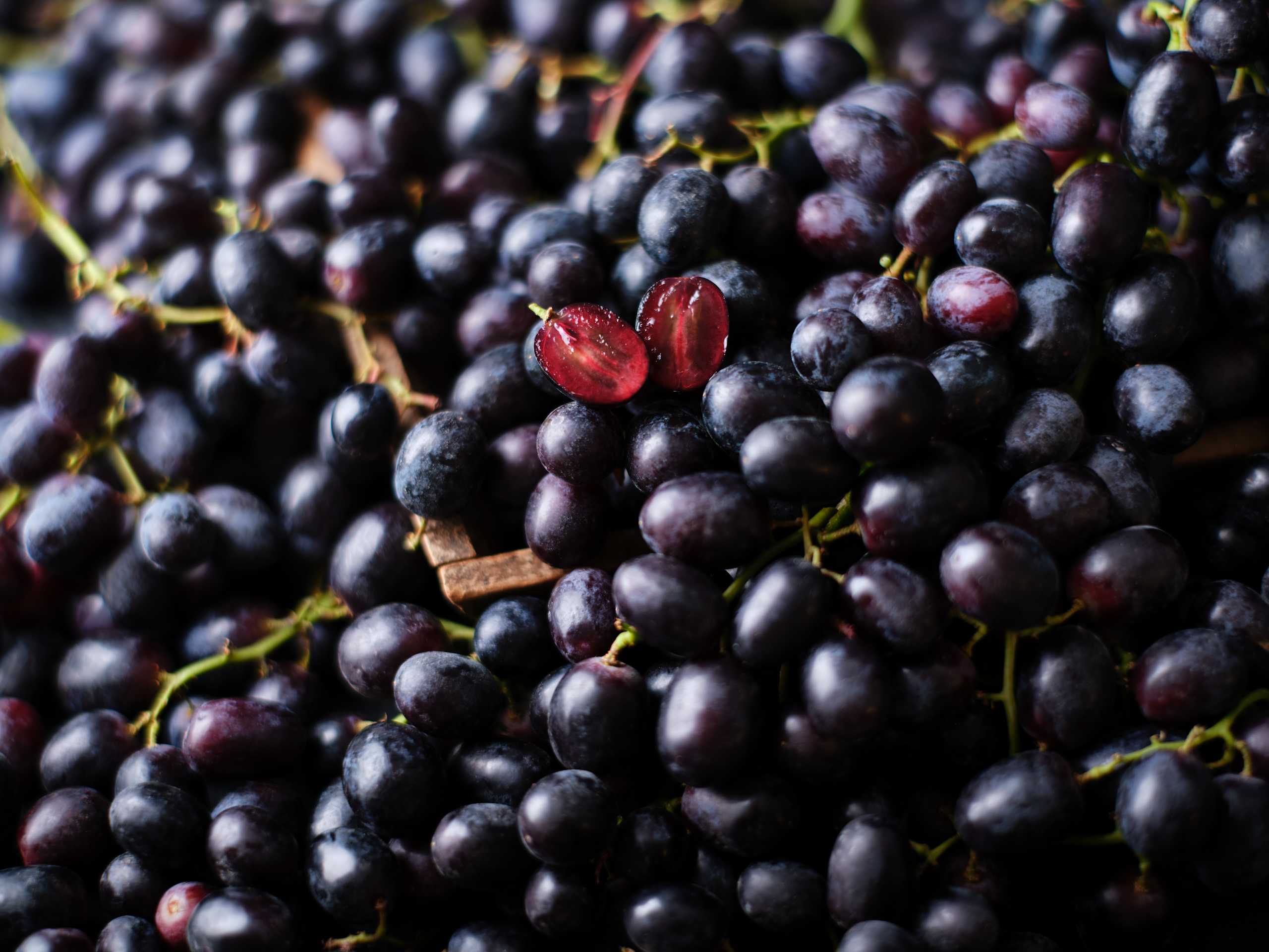 Red Berry Grapes 2 of 2