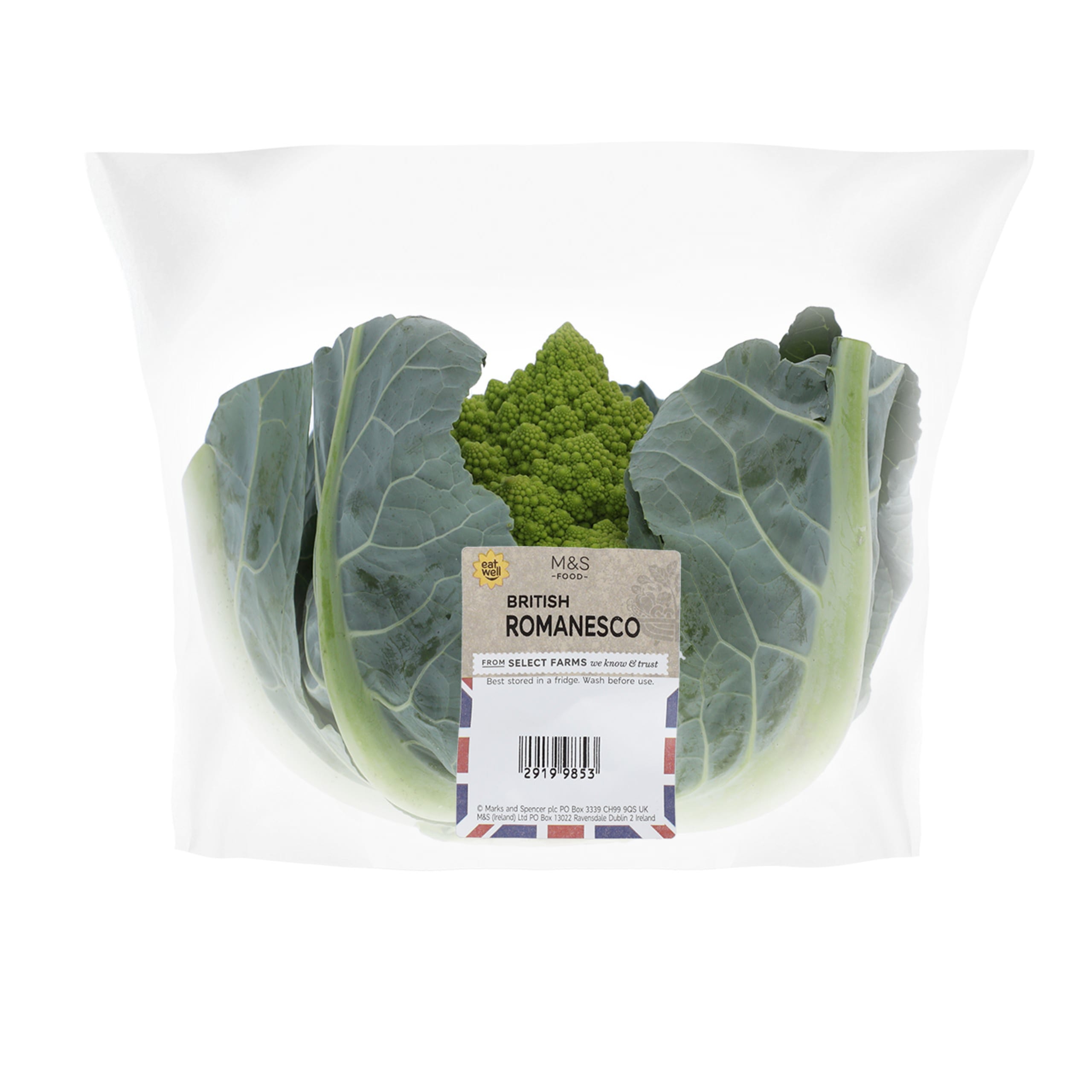 Romanesco 1 of 1