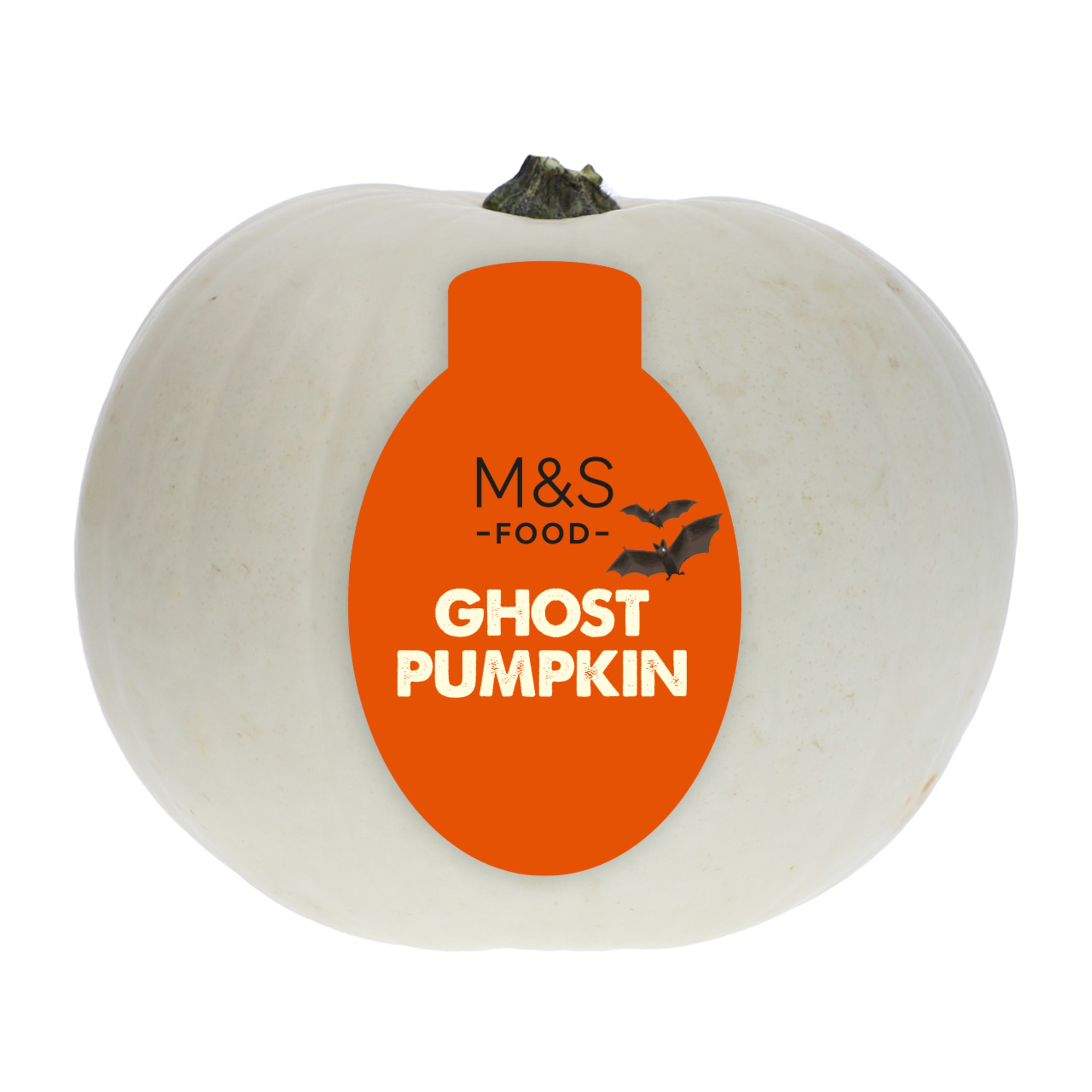 Ghost Pumpkin 1 of 1