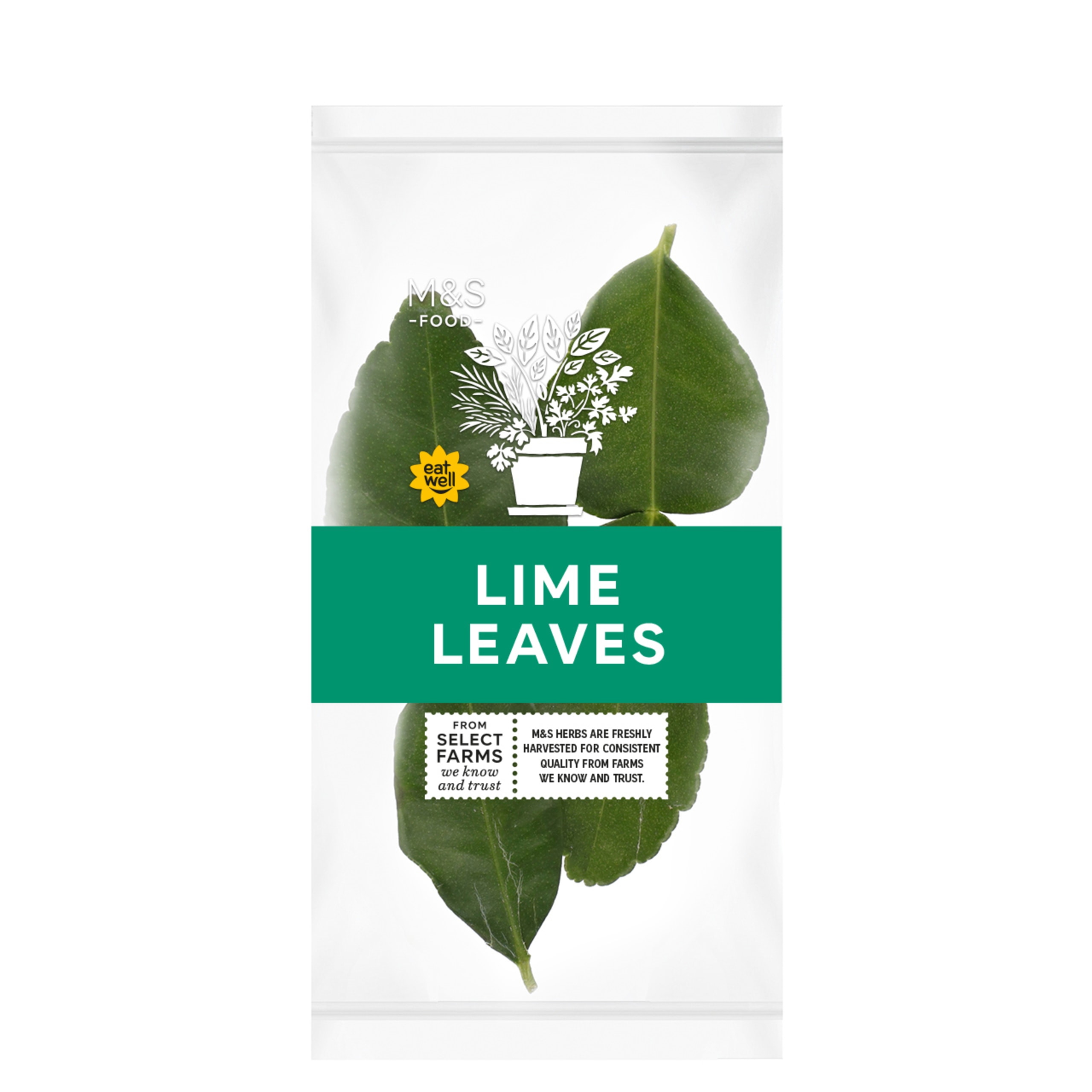 Lime Leaves 1 of 1