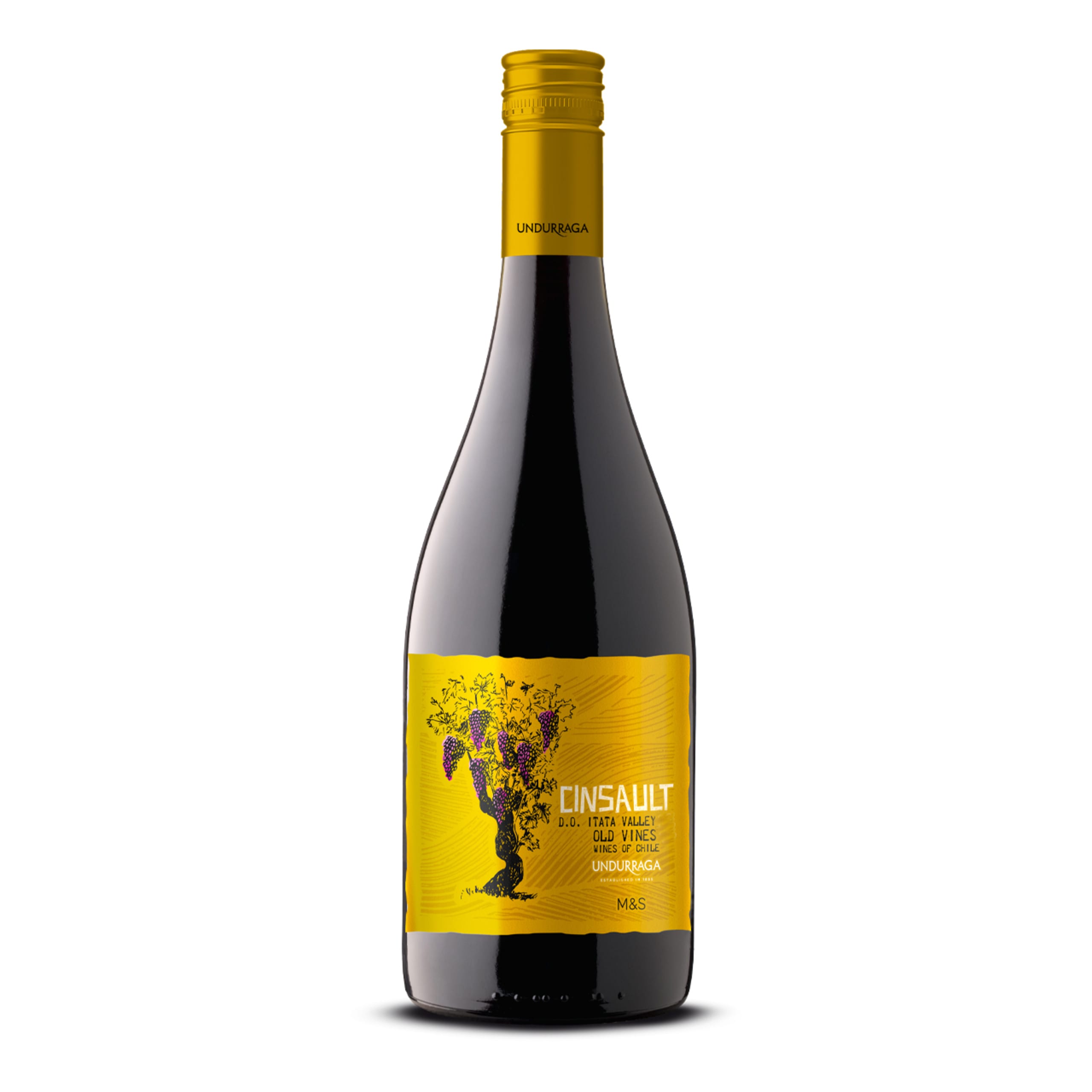 Undurraga Cinsault Itata 1 of 1