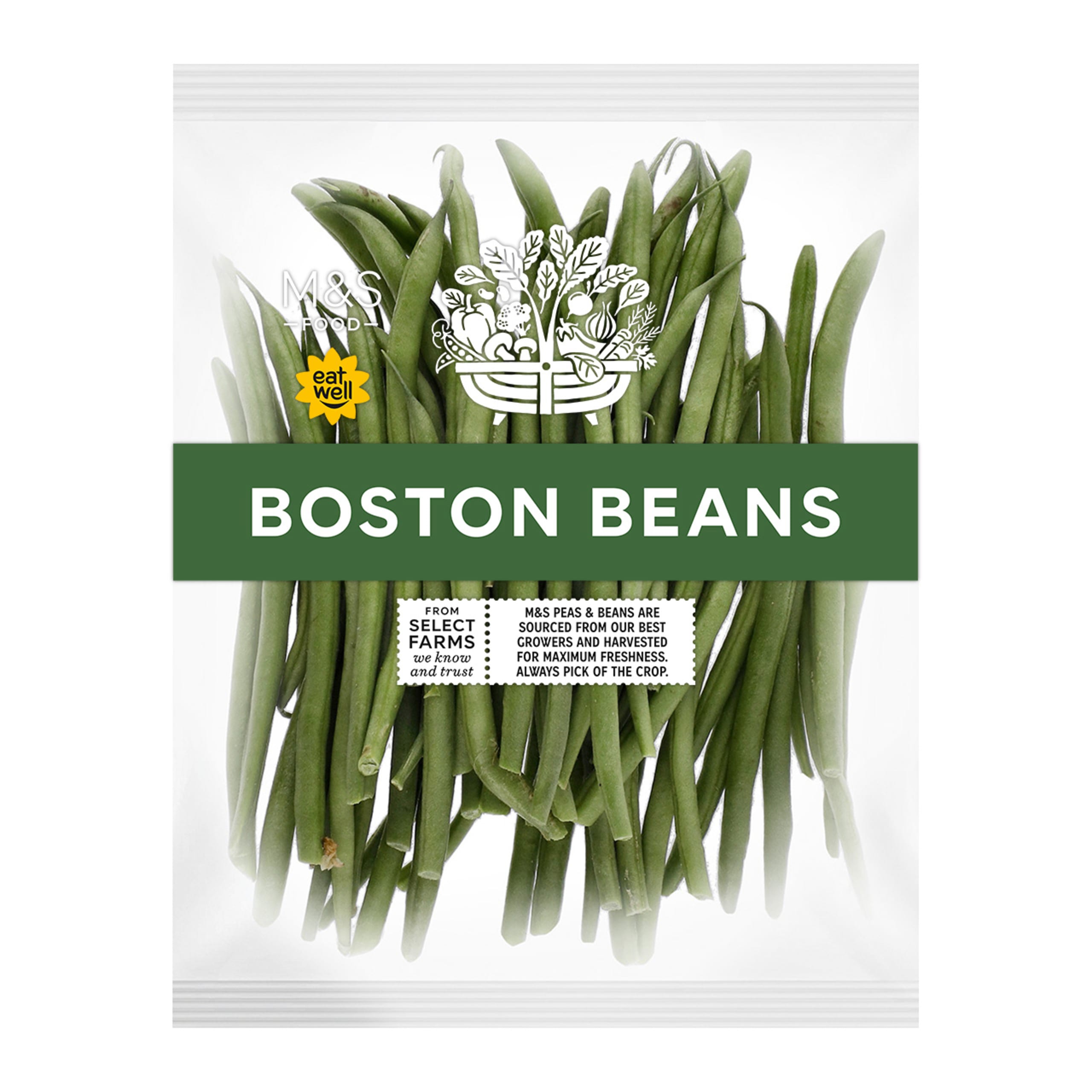 Boston Beans 1 of 2