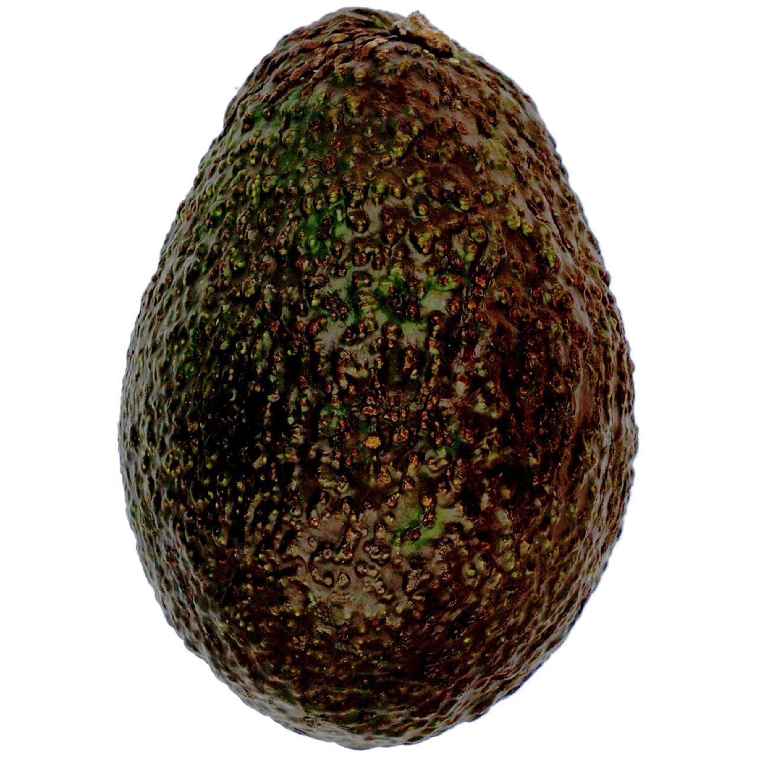 Extra Large Avocado 1 of 3