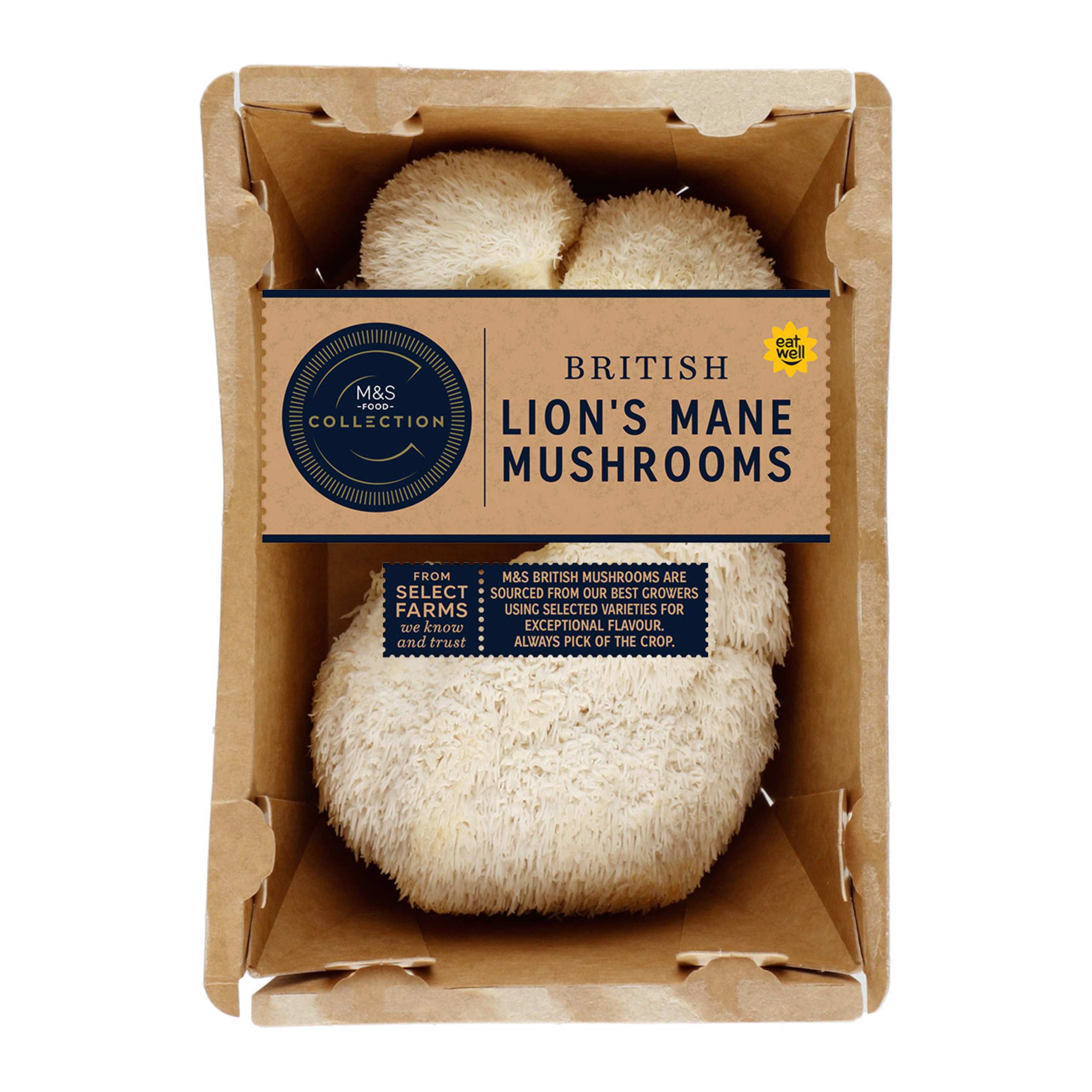 British Lion's Mane Mushrooms 1 of 1