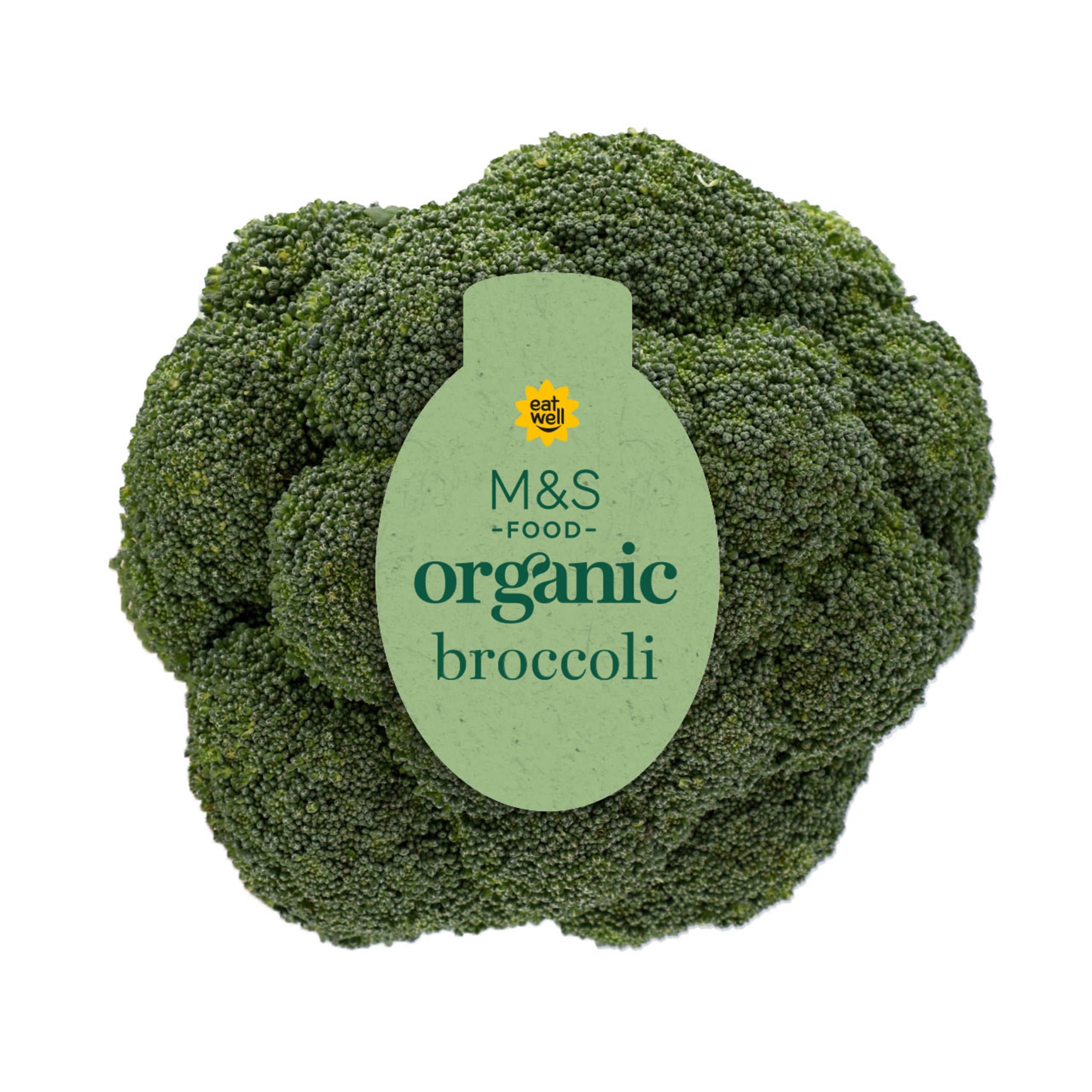 Organic Broccoli 1 of 1