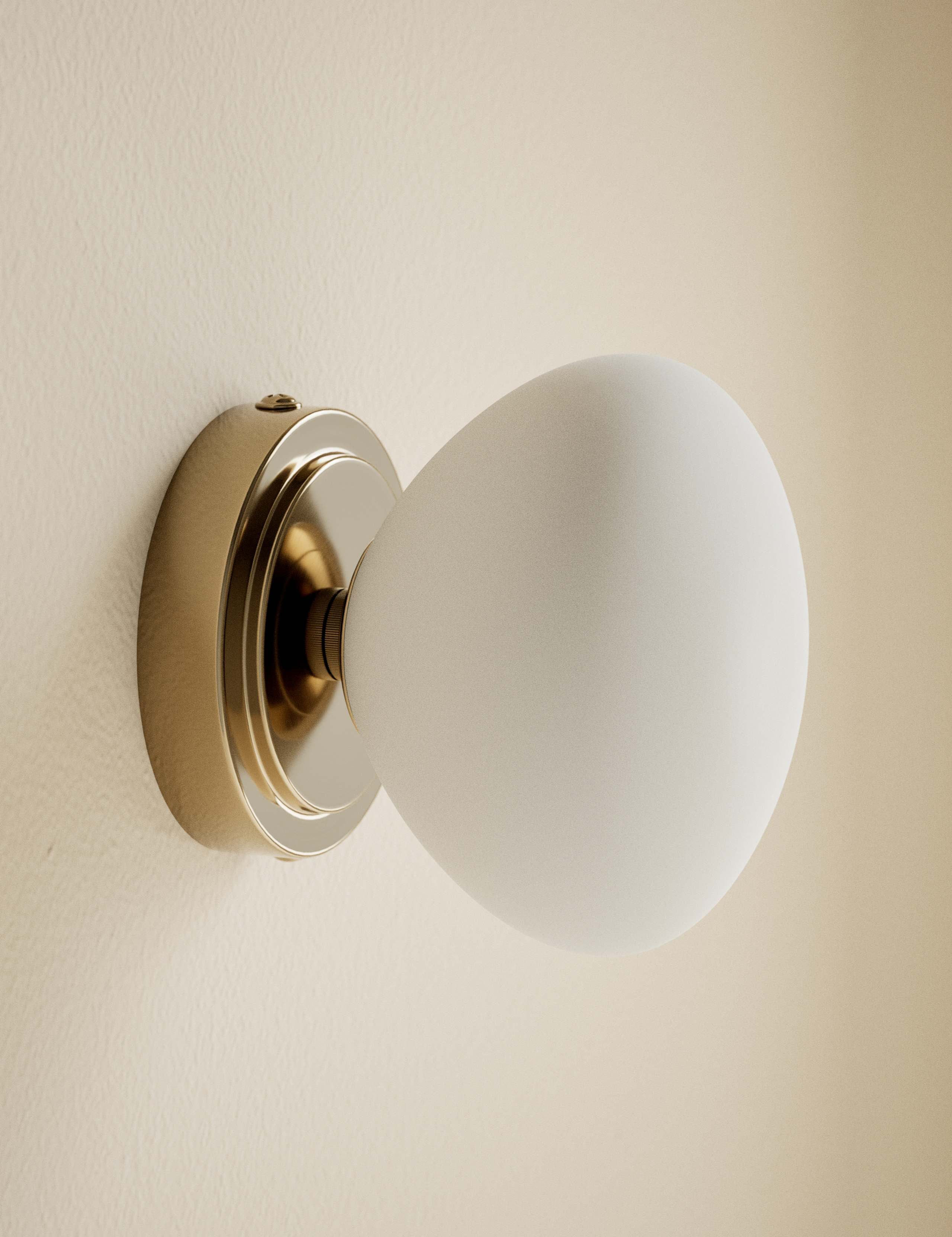 Metal Soft Organic Form Wall Light