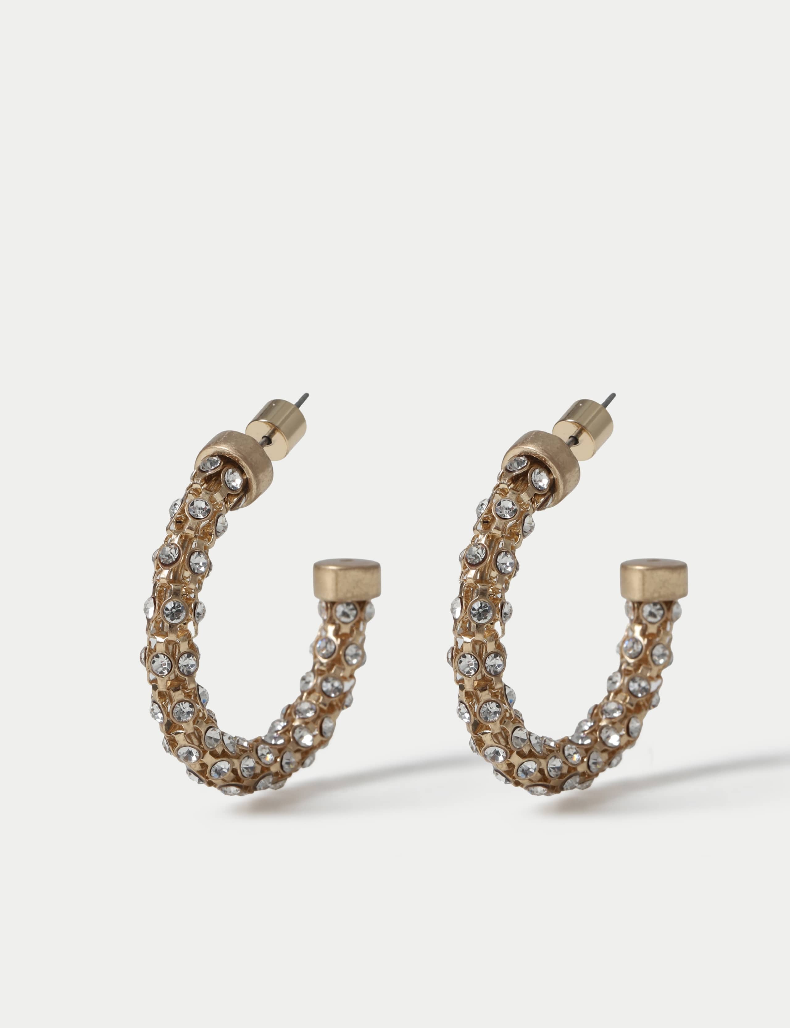Metal Embellished Earrings
