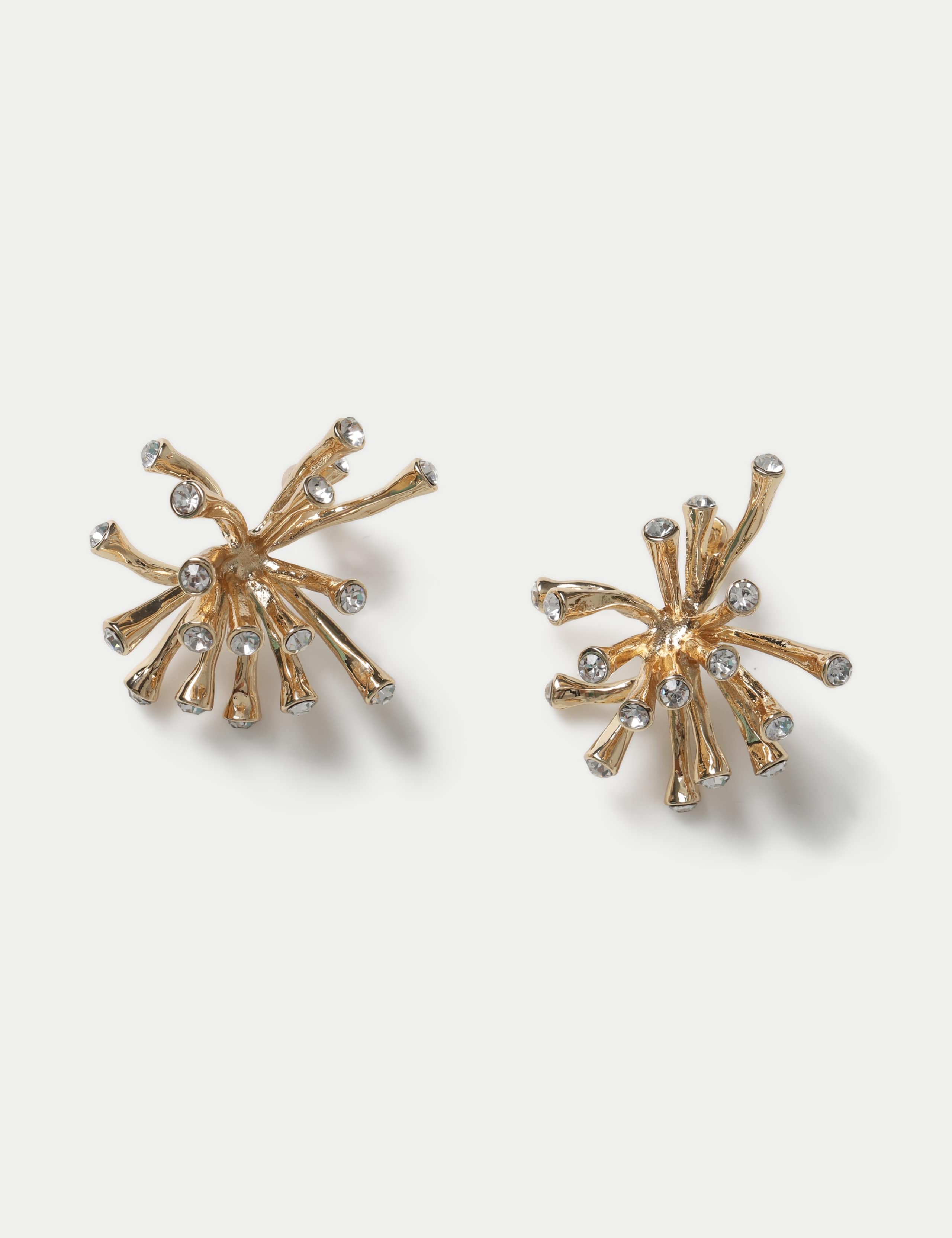 Metal Spray Earrings