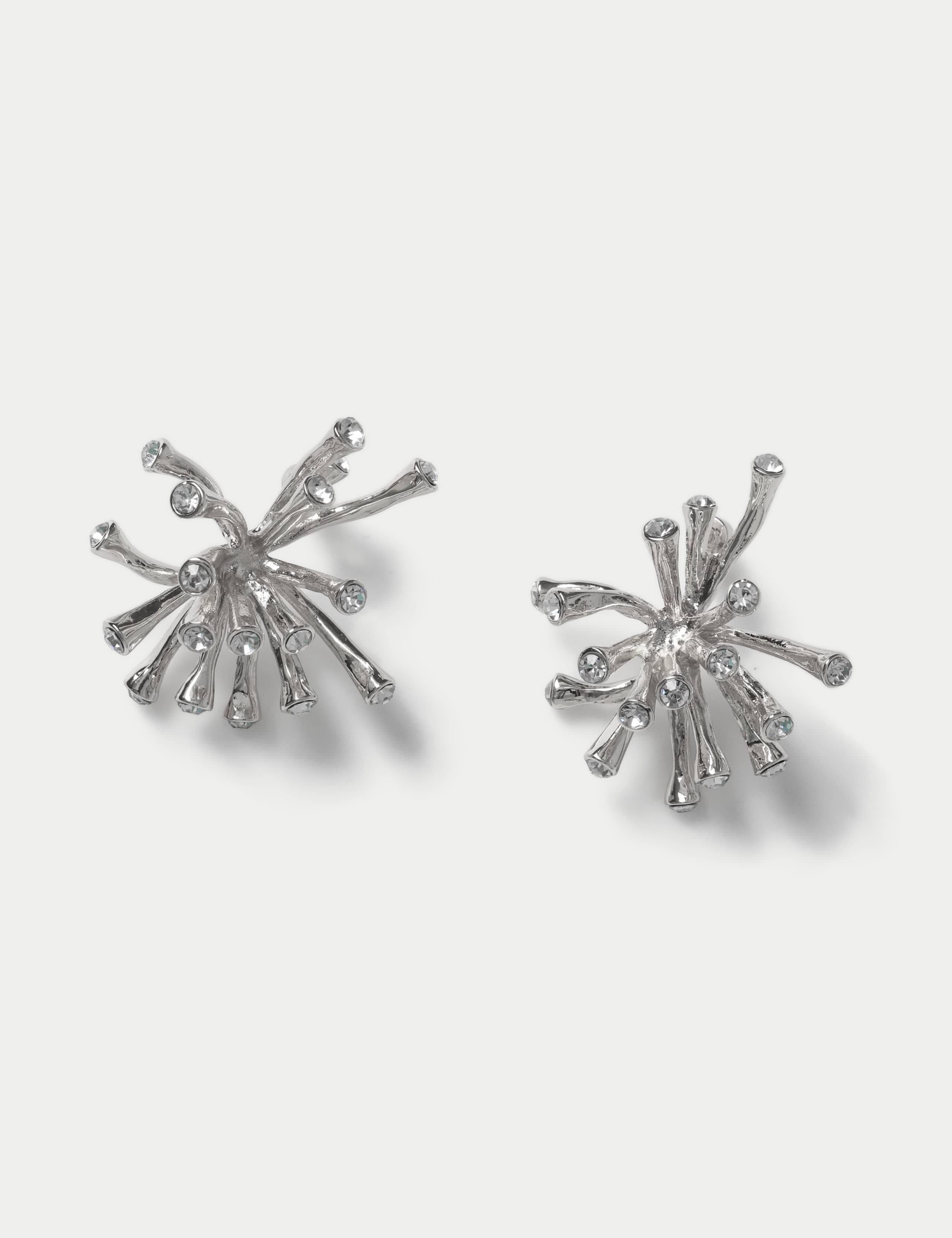 Metal Spray Earrings