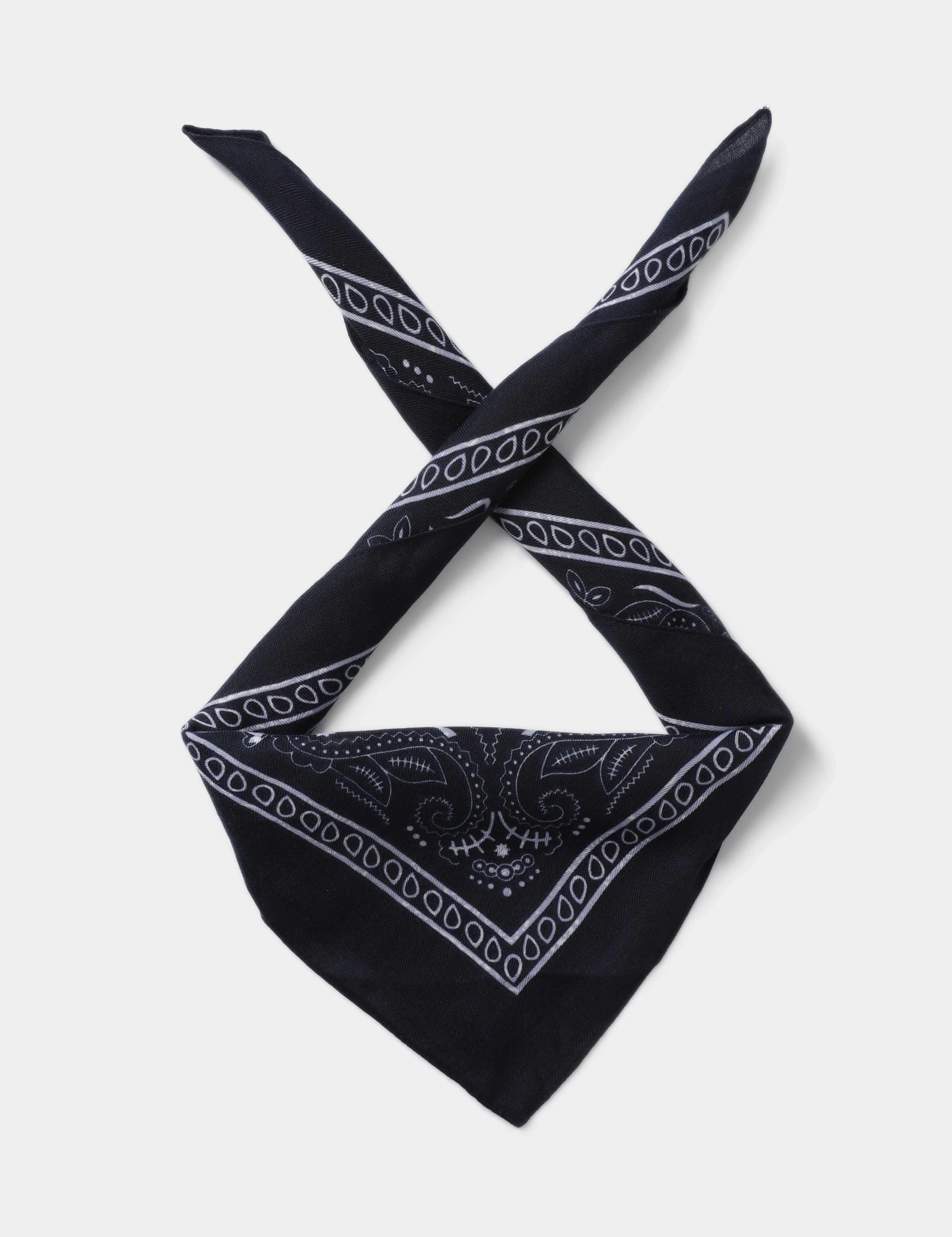Warm handle Navy Paisley Scarf