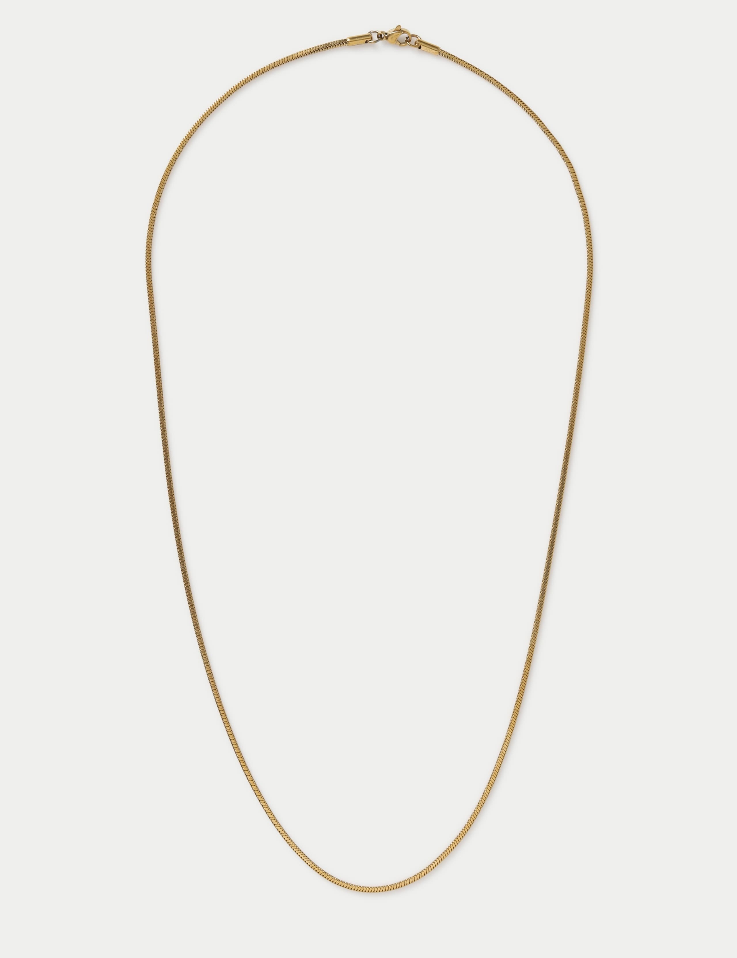 Auto Snake Chain Necklace