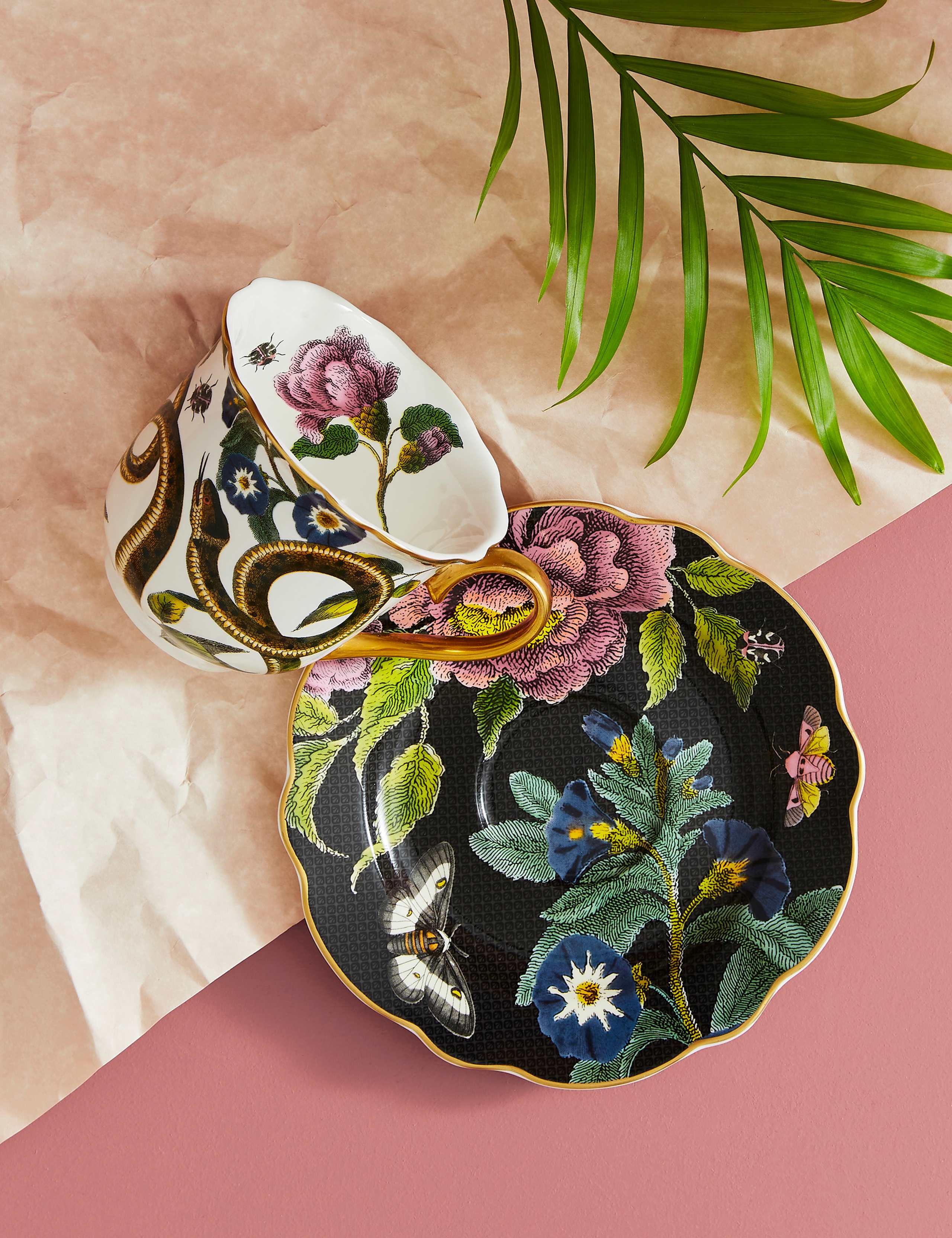 Creatures of Curiosity Dark Cup & Saucer
