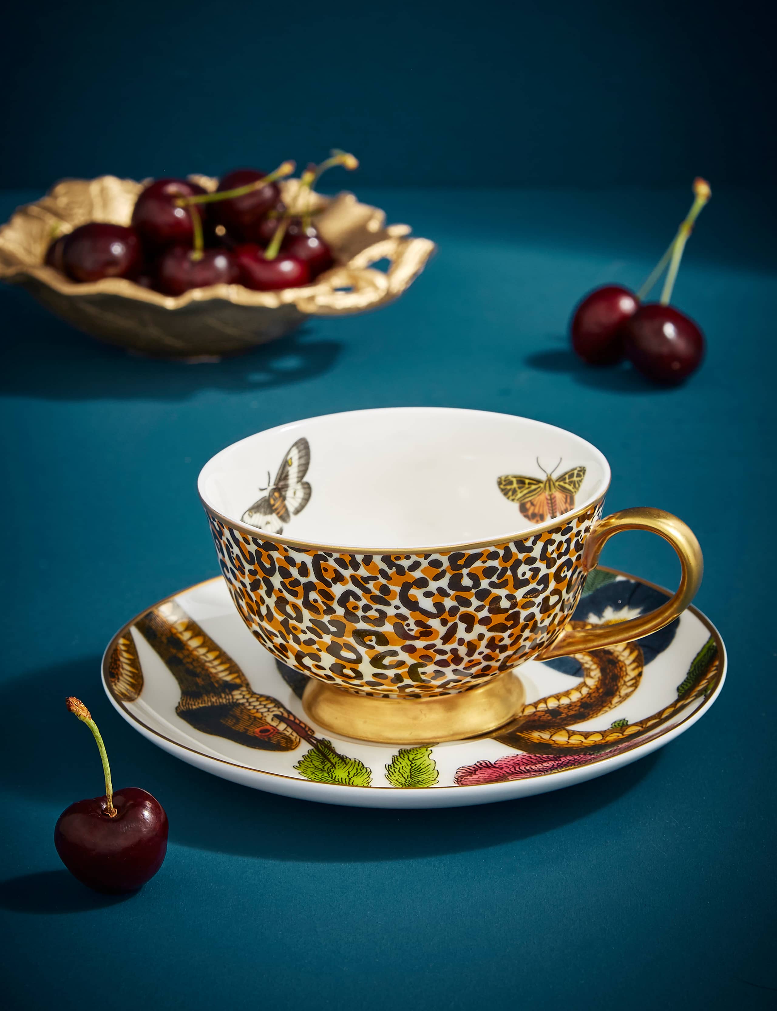 Creatures of Curiosity Cup & Saucer