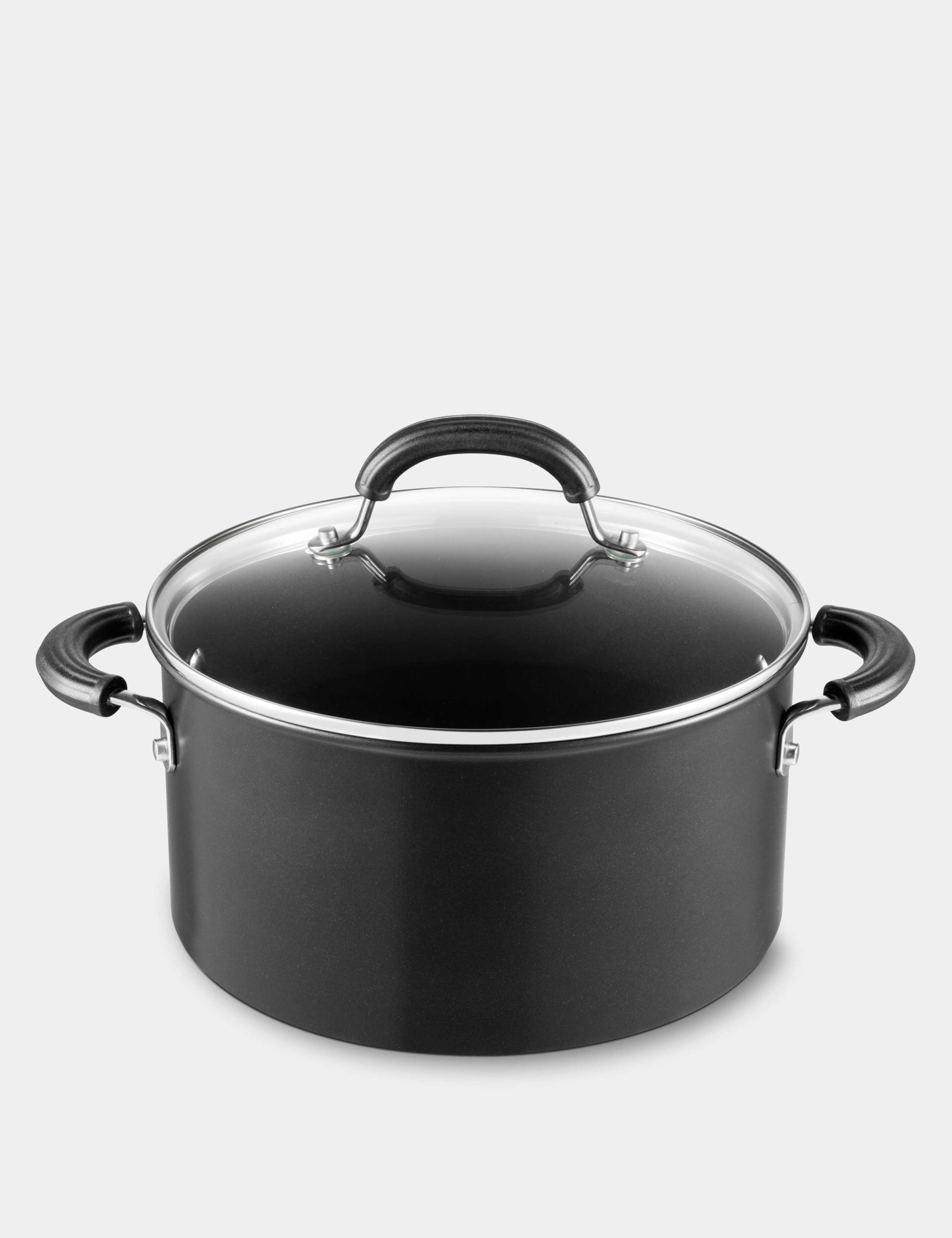 Total 24cm Induction Stock Pot with Lid