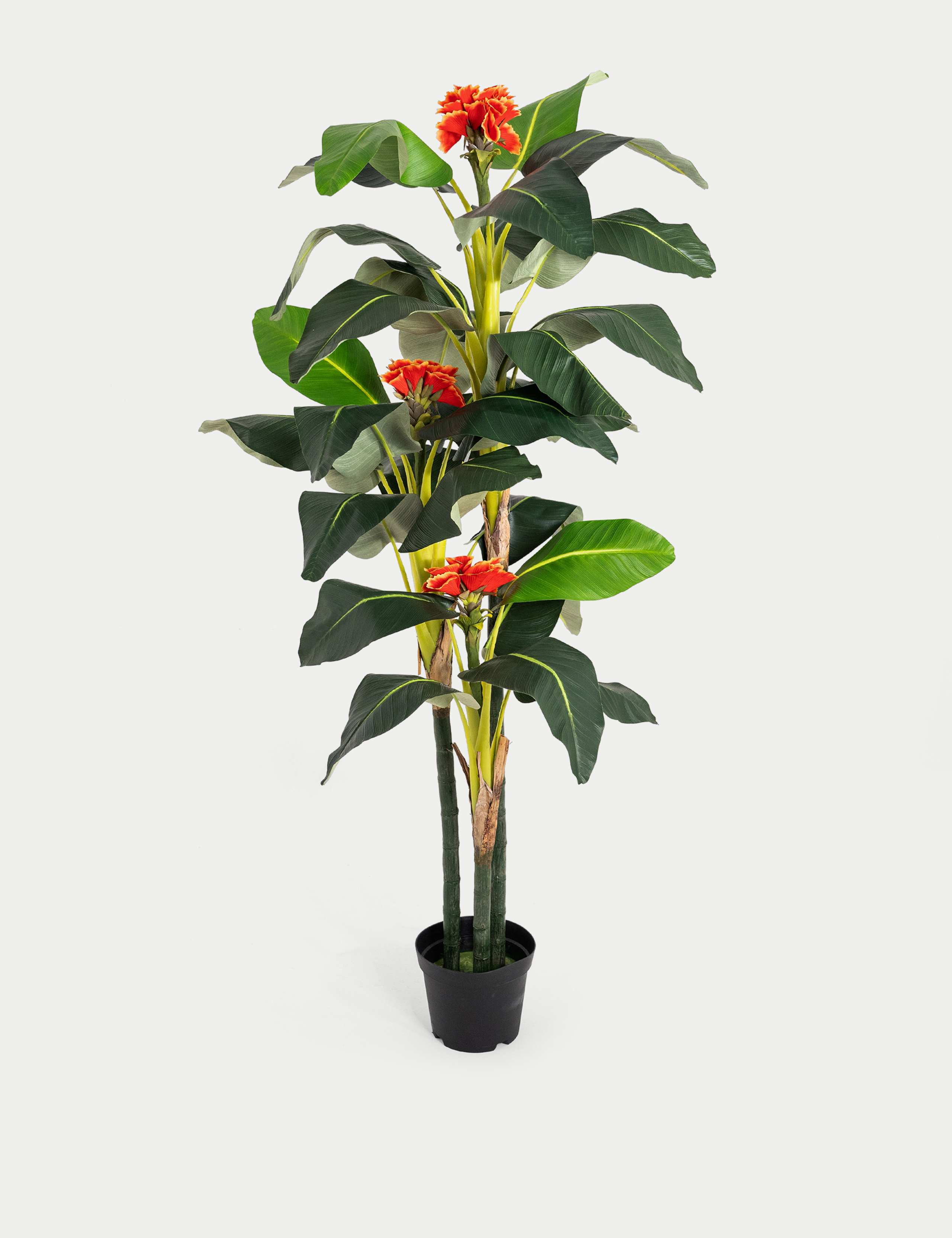 6ft Artificial Banana Tree in Pot