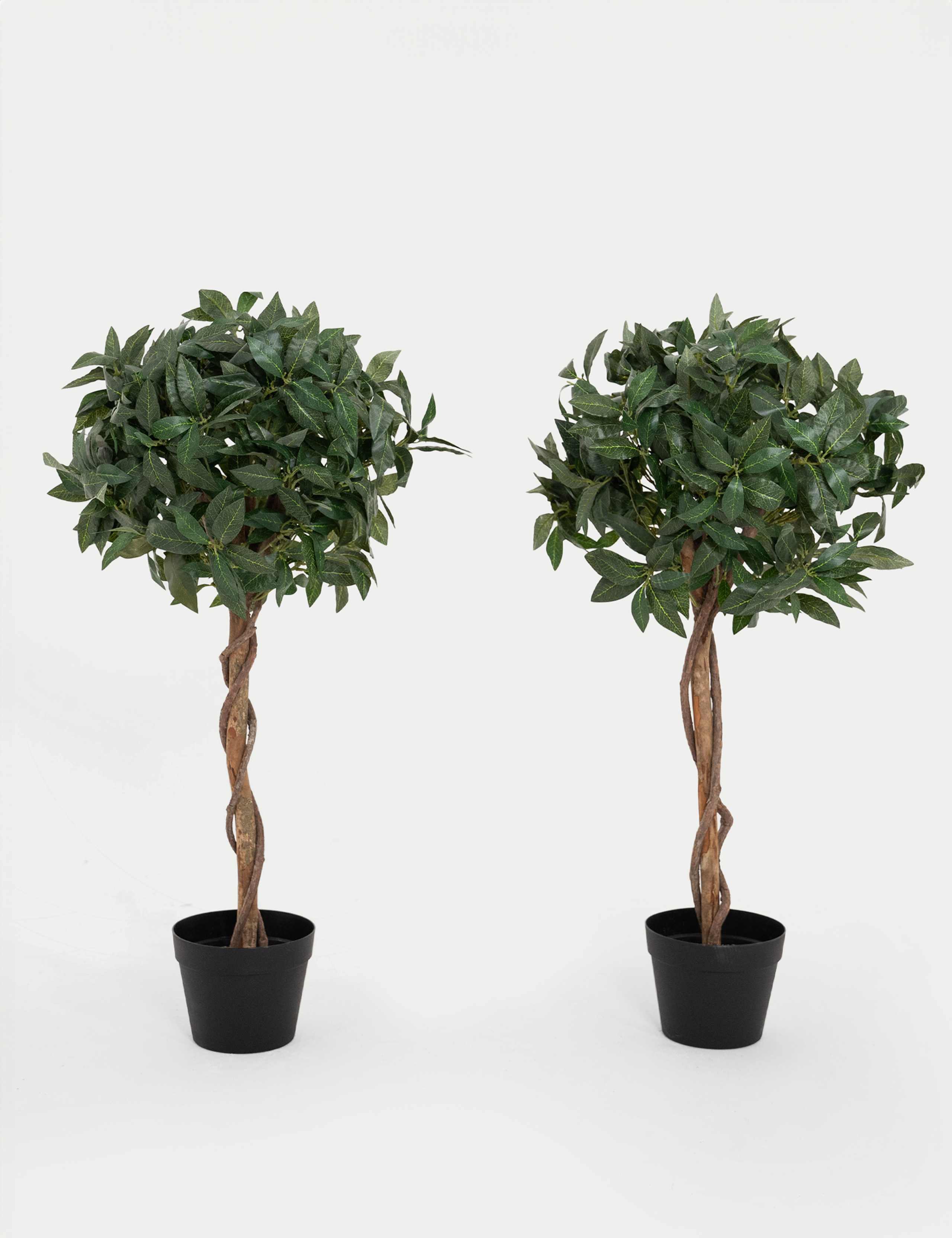 3ft Set of 2 Artificial Bay Trees in Pots