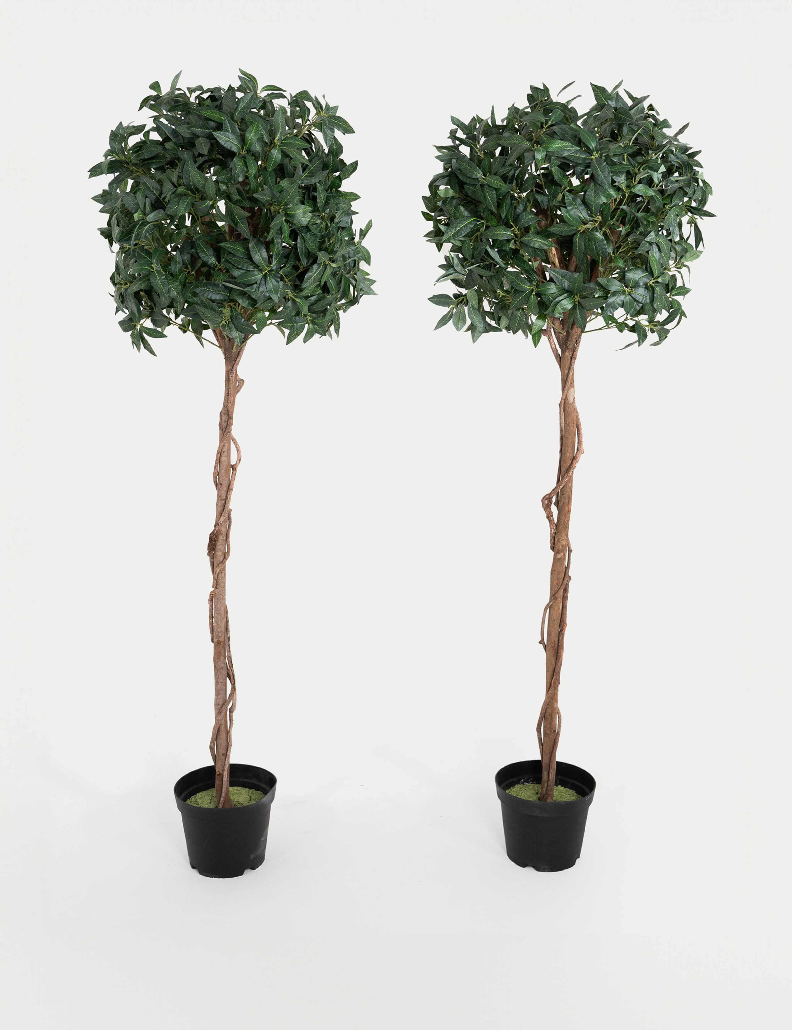 6ft Set of 2 Artificial Floor Standing Bay Trees